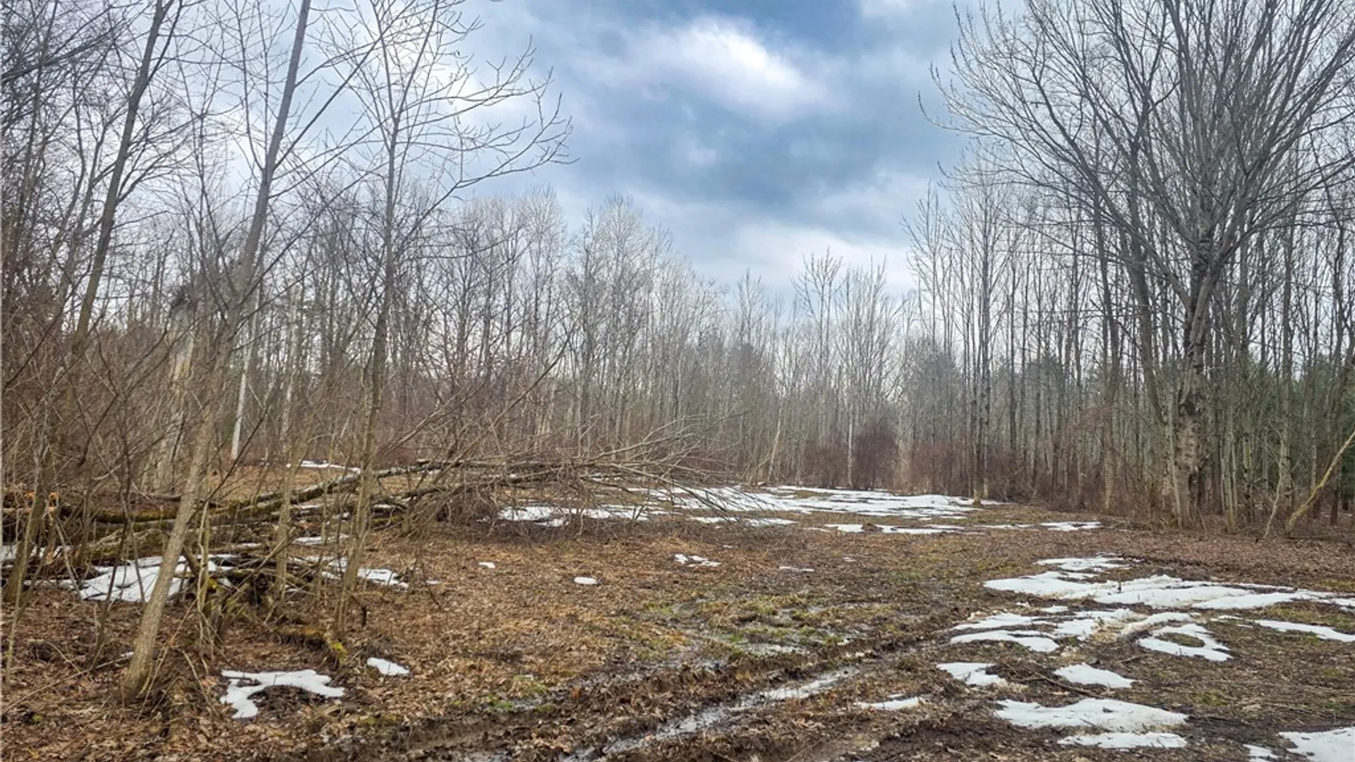 Property at 0 Mill Road, Vienna, NY 13042 3