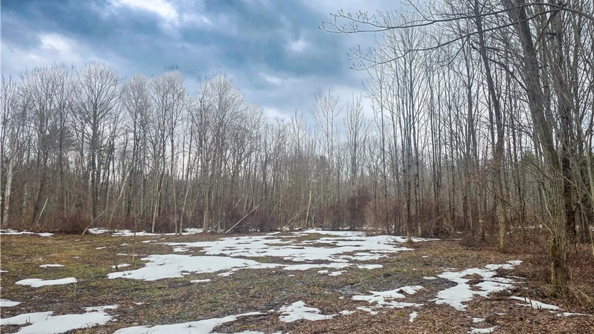 Property at 0 Mill Road, Vienna, NY 13042 4