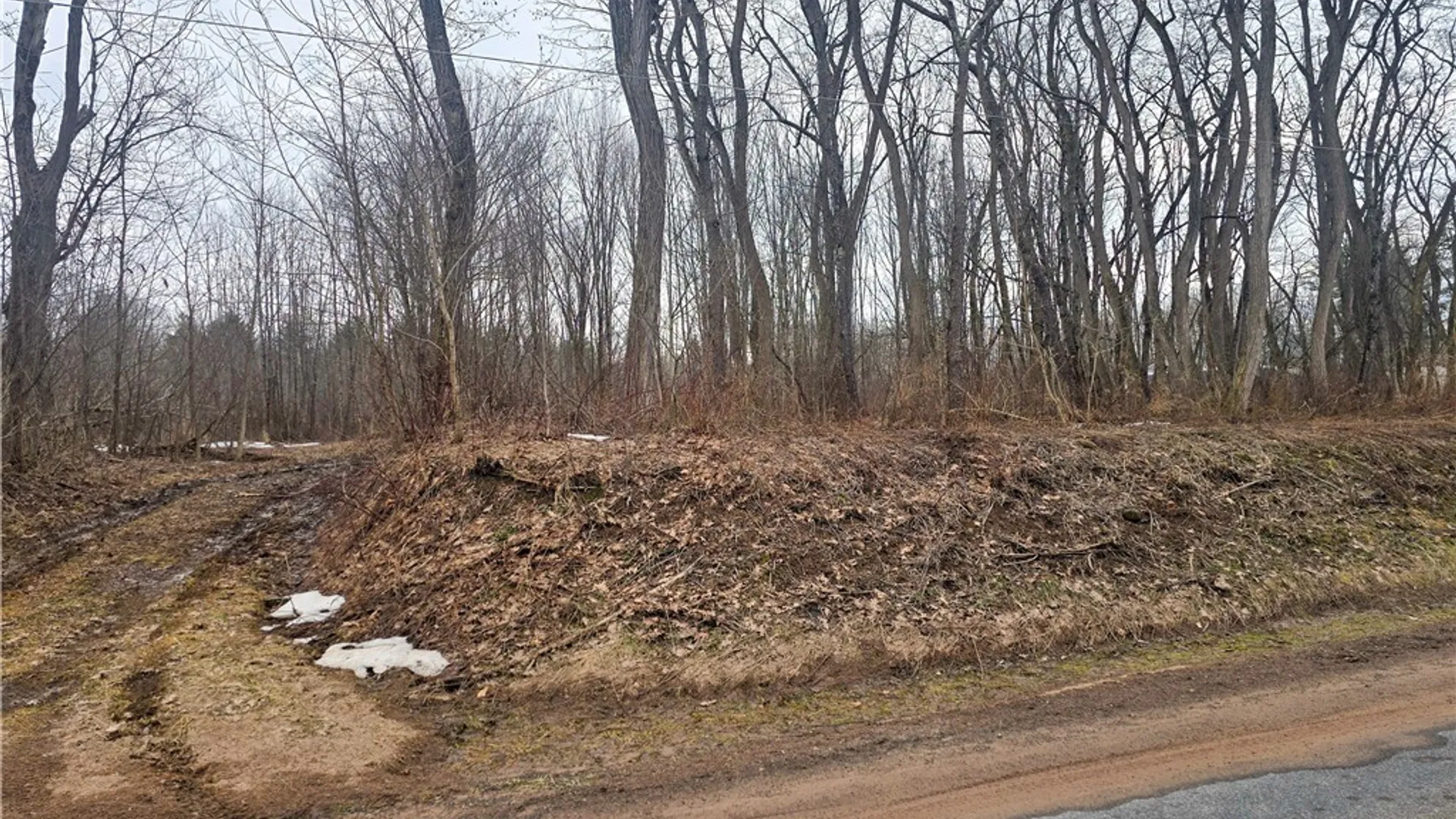 Property at 0 Mill Road, Vienna, NY 13042 7
