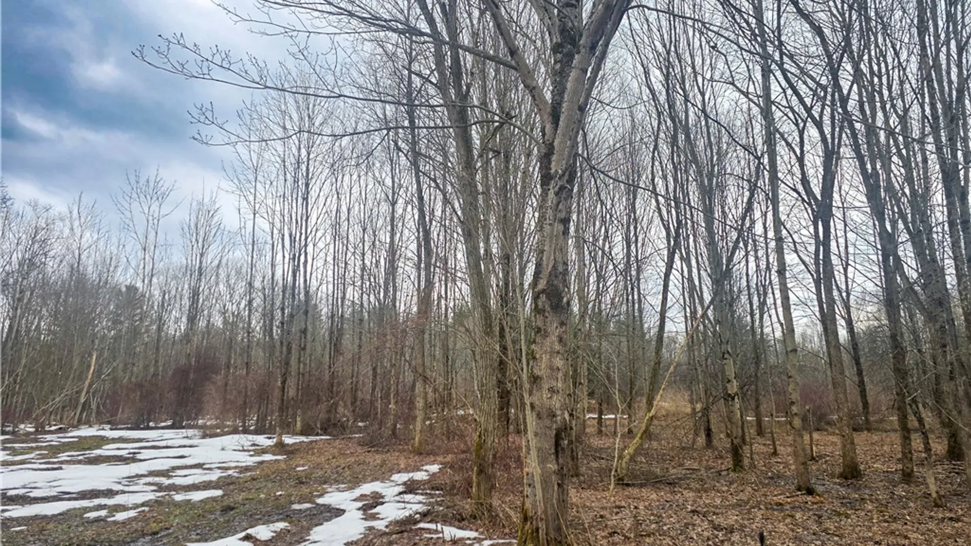 Property at 0 Mill Road, Vienna, NY 13042 8