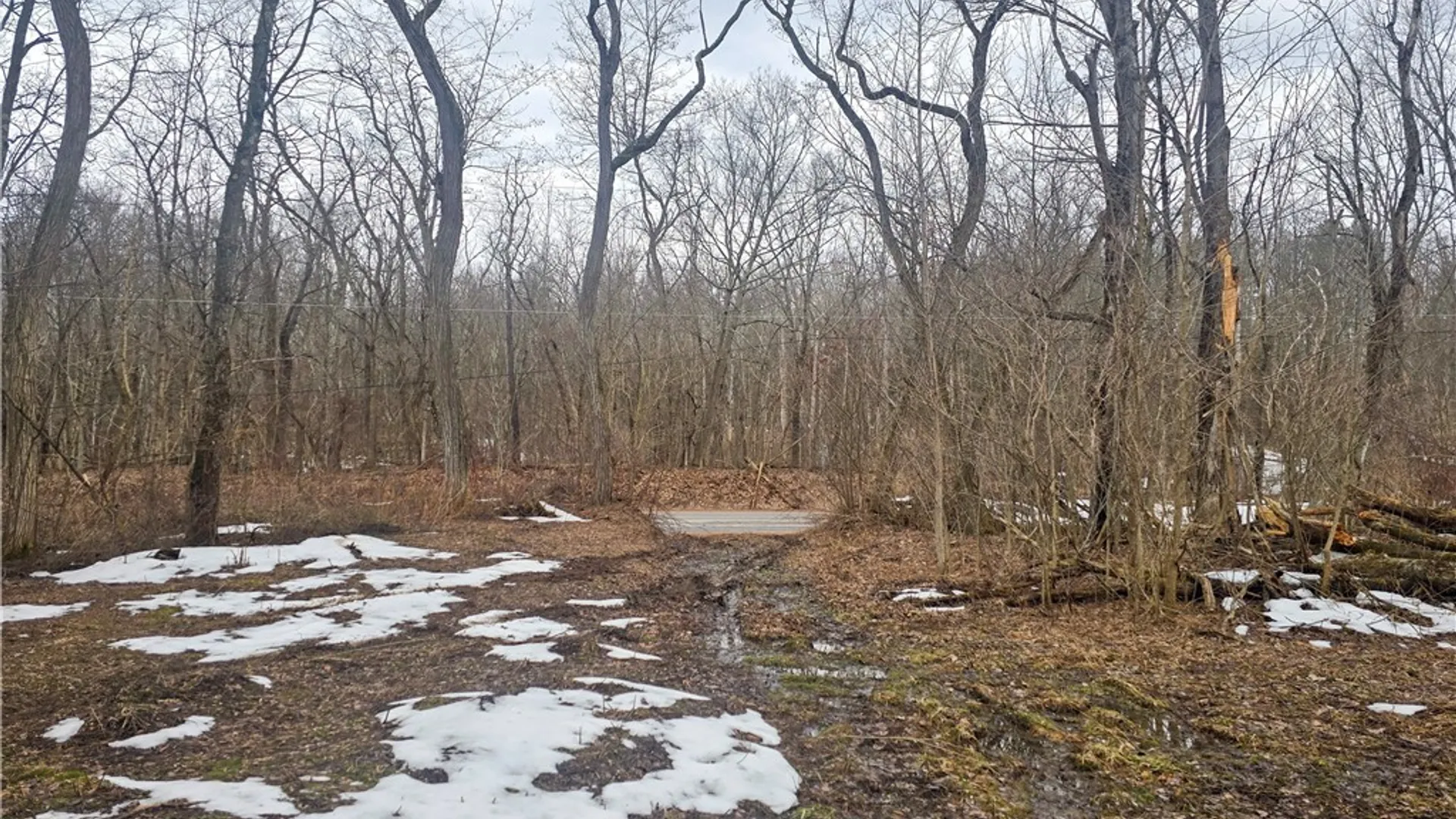 Property at 0 Mill Road, Vienna, NY 13042 10