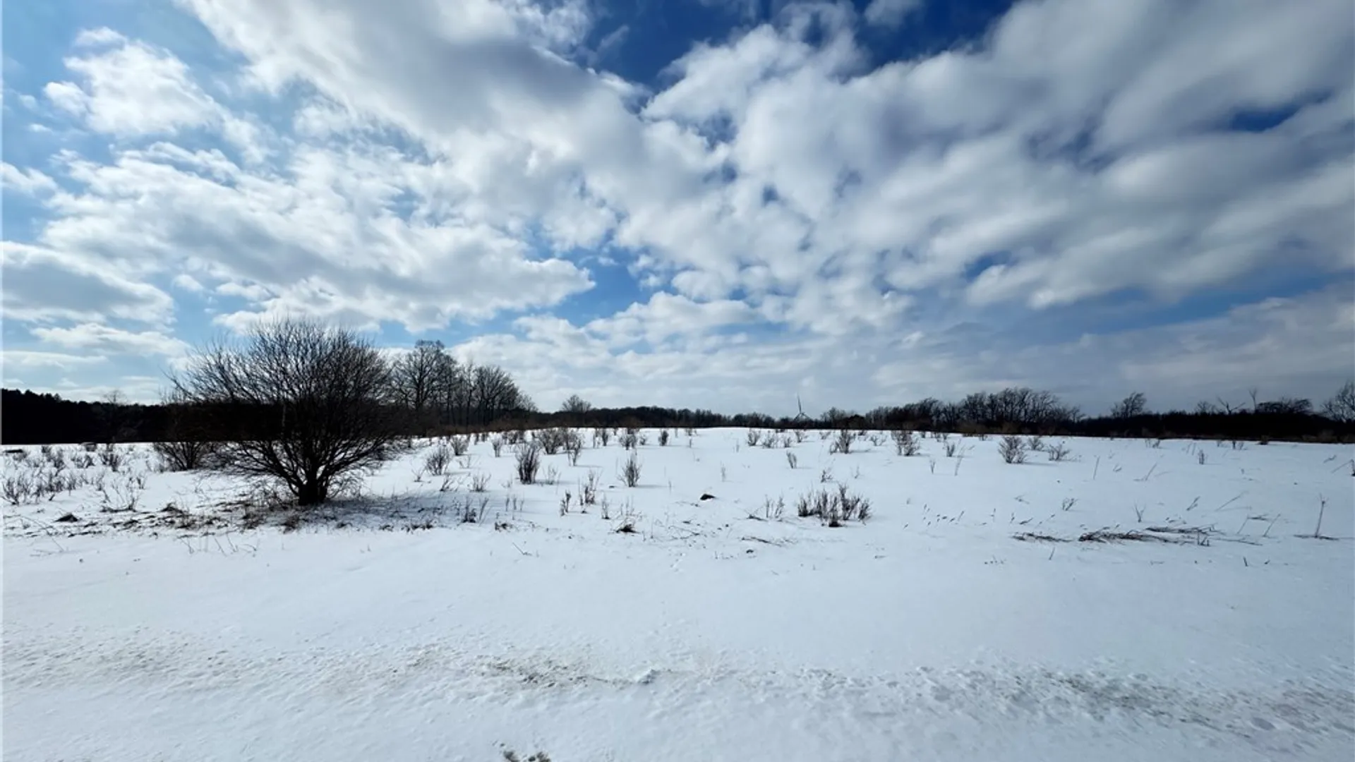 Property at 0 Orangeville Center Rd, Orangeville, NY 14569 3