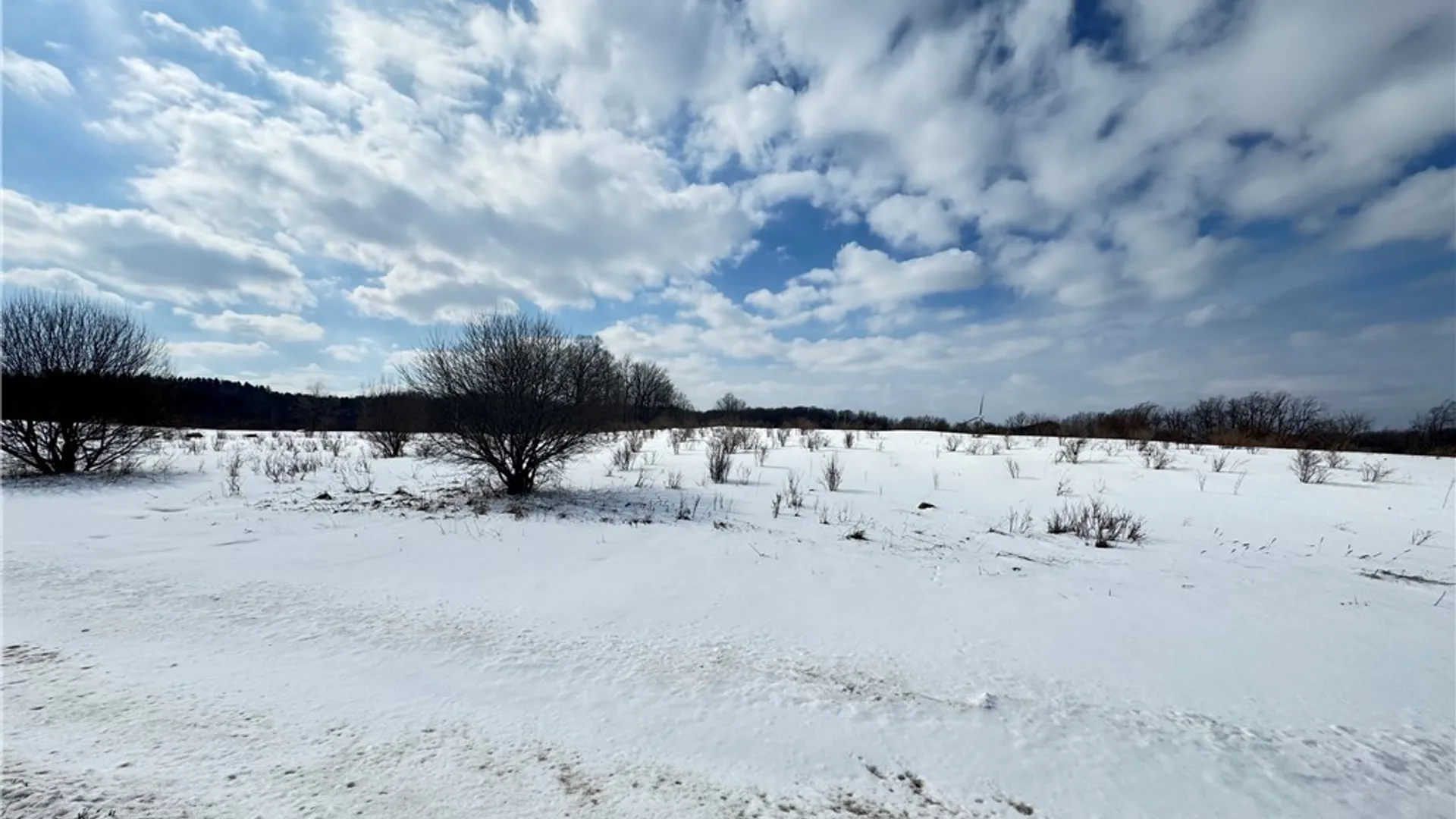 Property at 0 Orangeville Center Rd, Orangeville, NY 14569 8