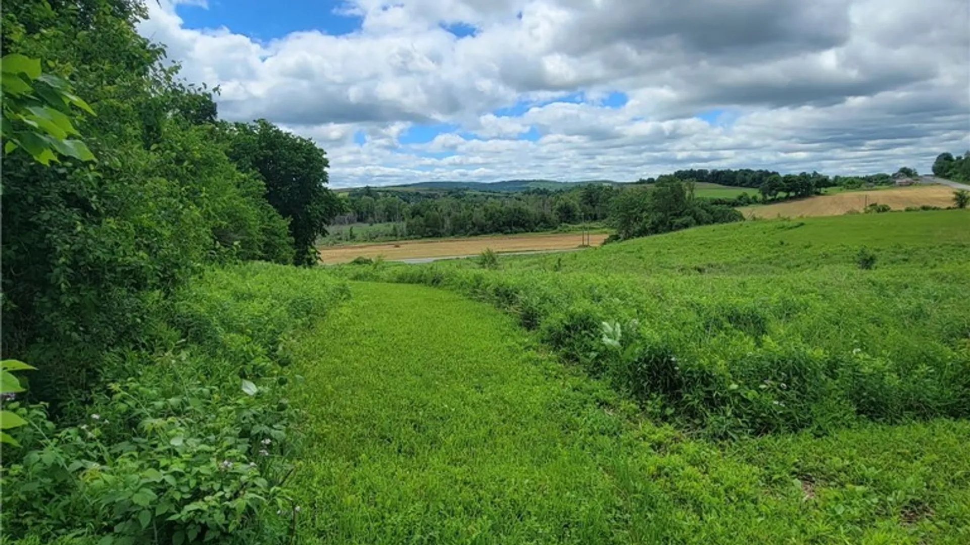 Property at Rt-12, Marshall, NY 13480 2
