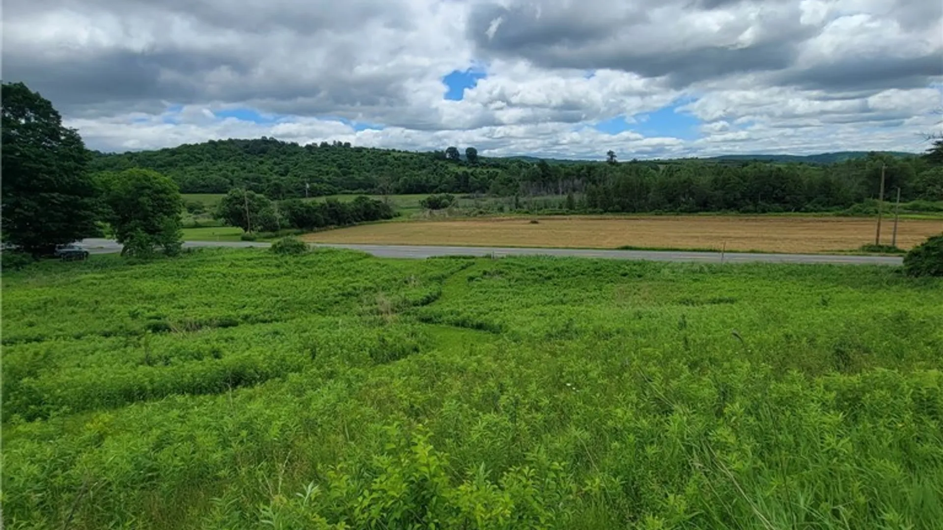 Property at Rt-12, Marshall, NY 13480 4