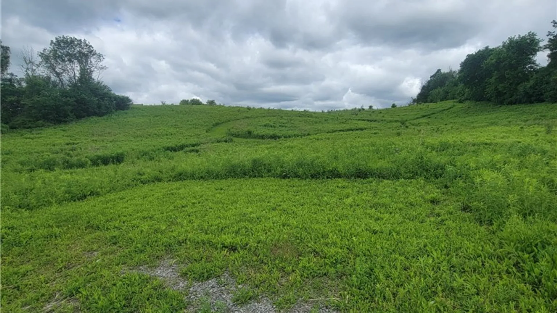 Property at Rt-12, Marshall, NY 13480 5