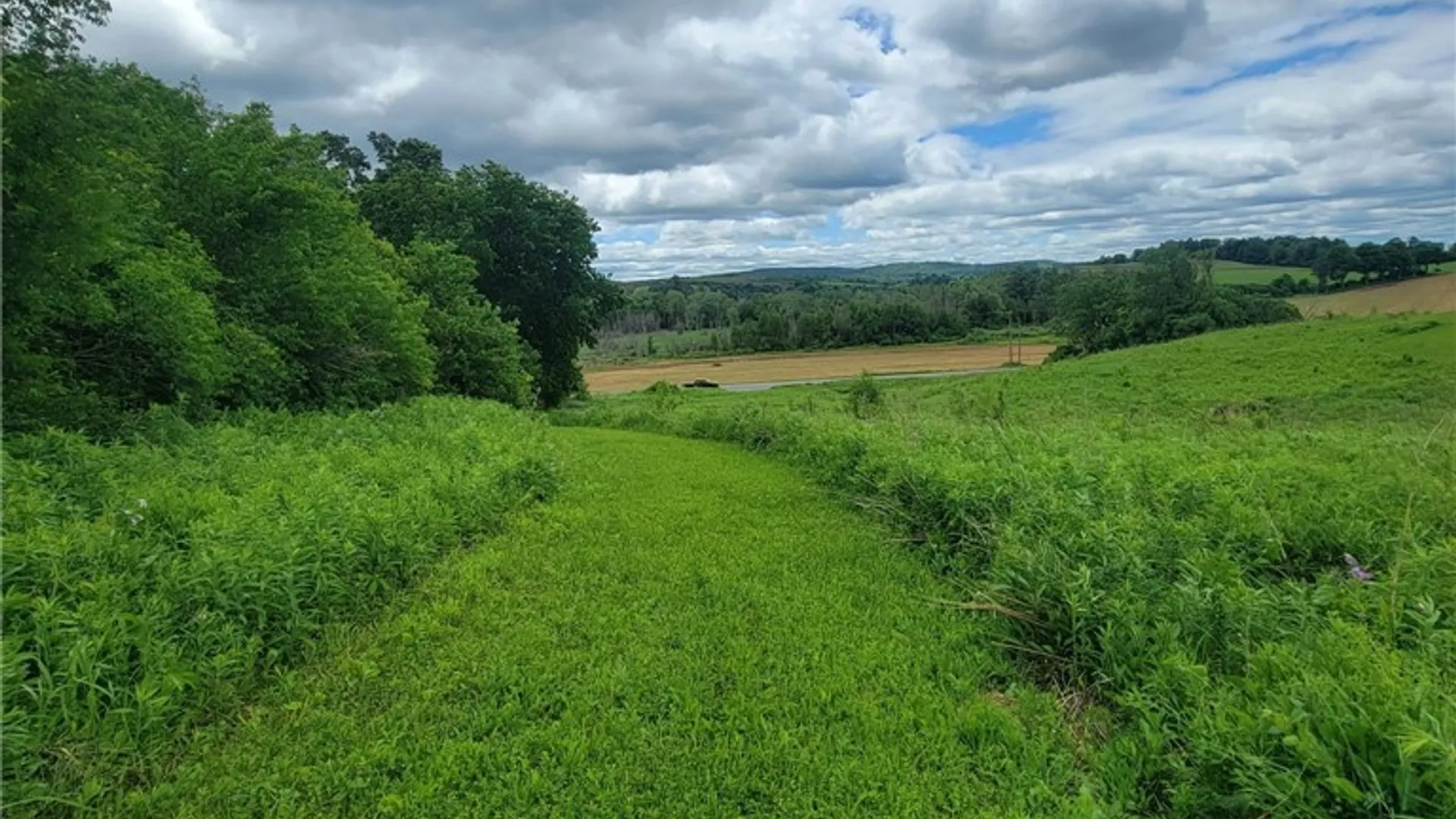 Property at Rt-12, Marshall, NY 13480 7
