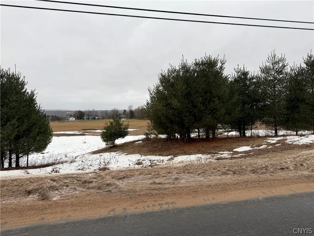 Property at Lot 1 Lyons Falls Road, Greig, NY 13368