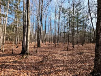 Property at South Road, Rathbone, NY 14801