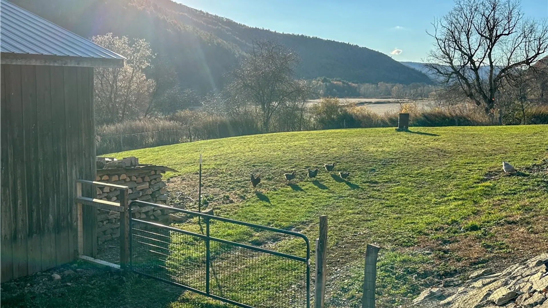 Property at 4419 County Route 119, Canisteo, NY 14819 40