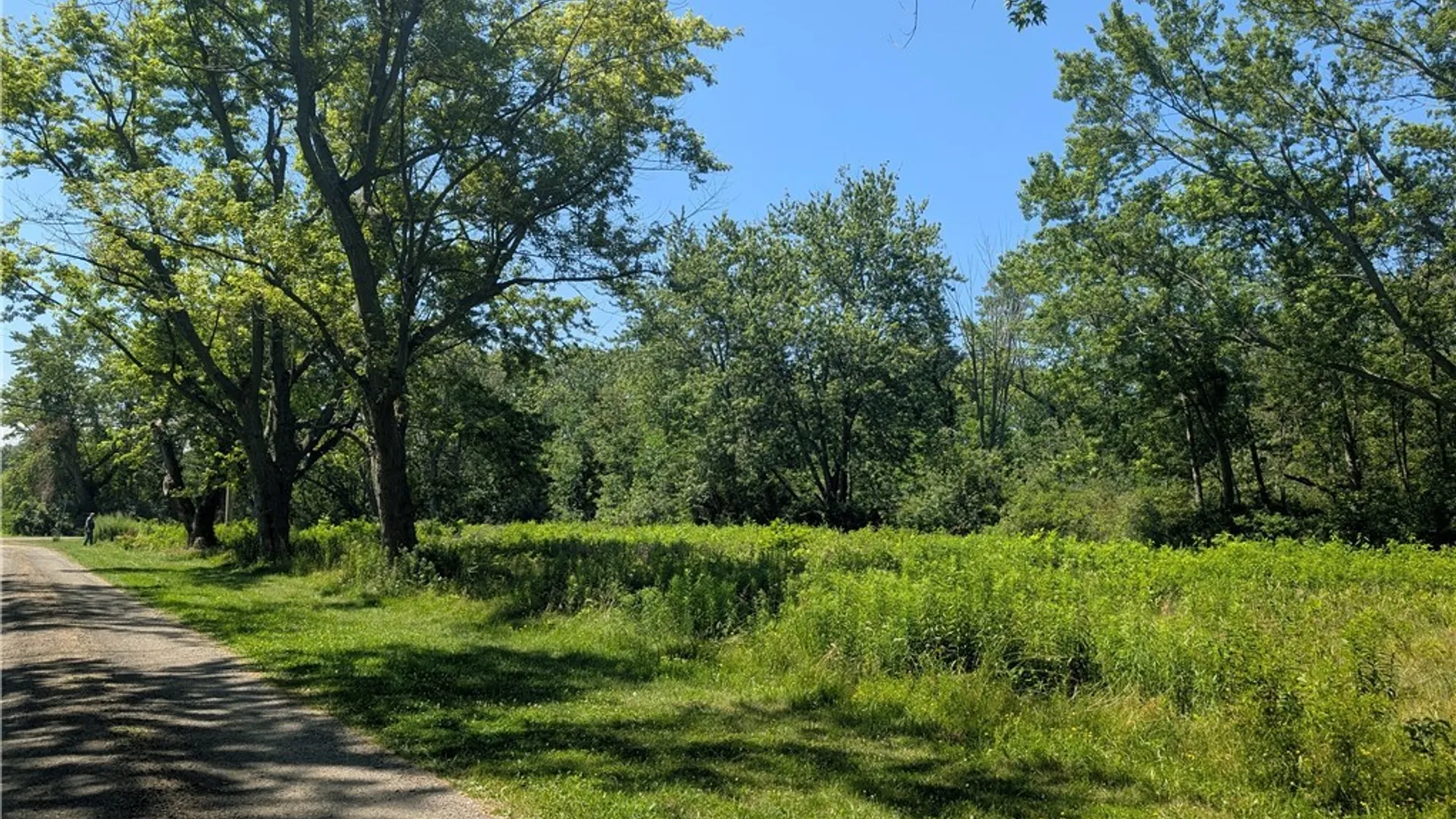 Property at Eleventh Avenue, Westfield, NY 14787 3