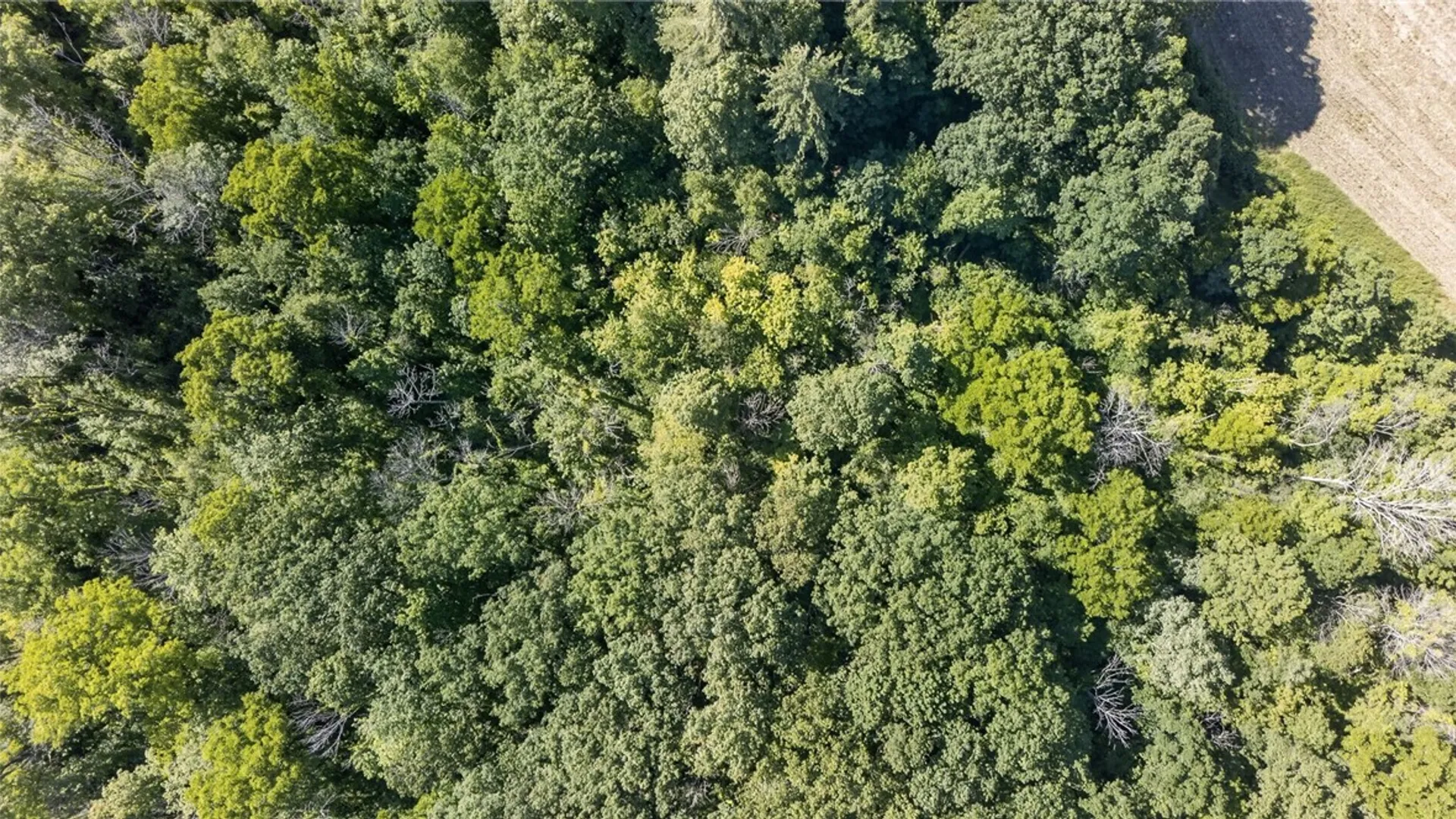 Property at Cramer Road, Canandaigua Town, NY 14424 27