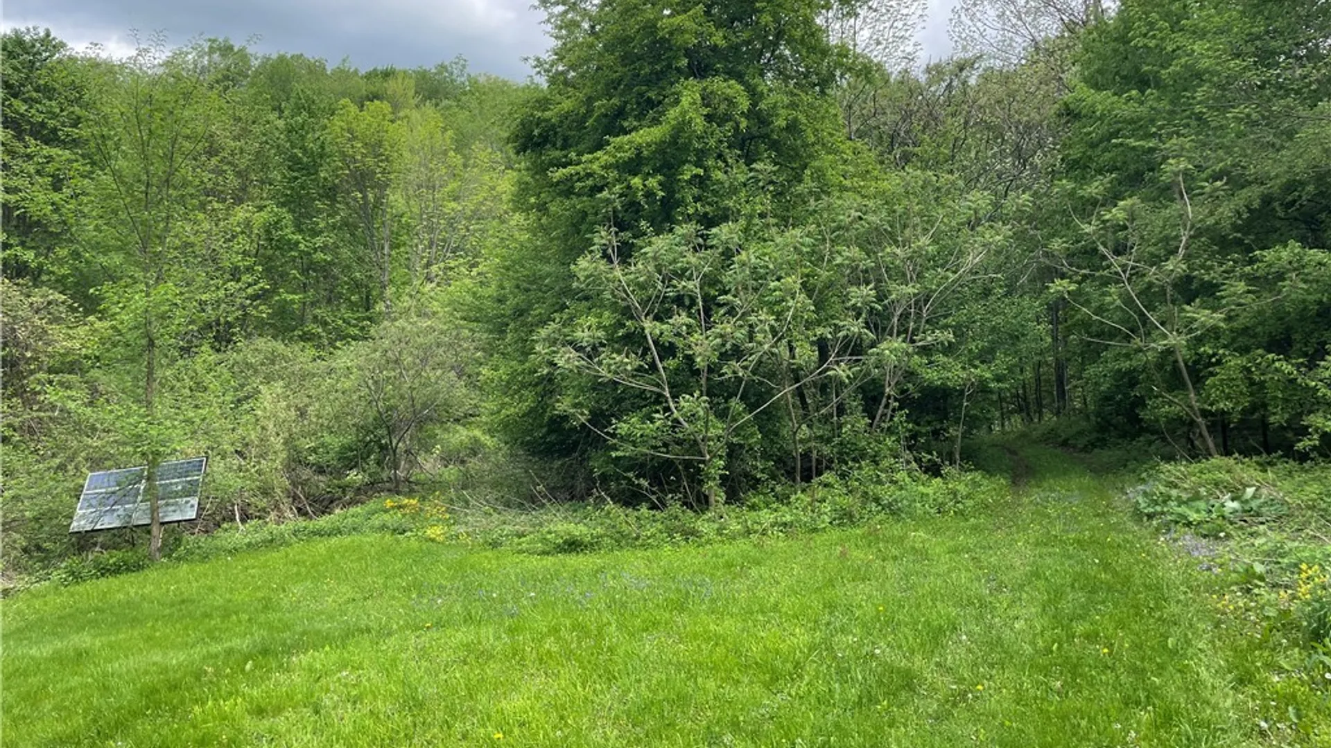 Property at 11335 Wyandale Road, Concord, NY 14141 14