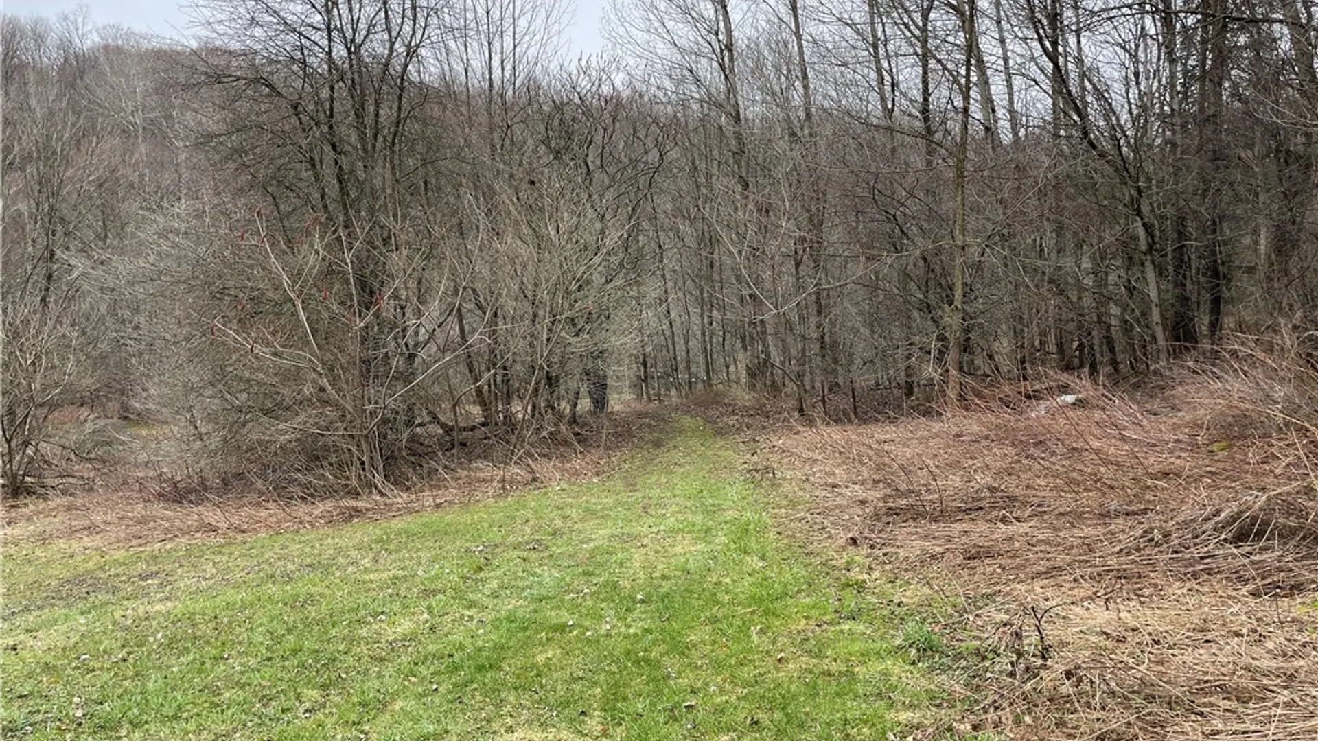 Property at 11335 Wyandale Road, Concord, NY 14141 16