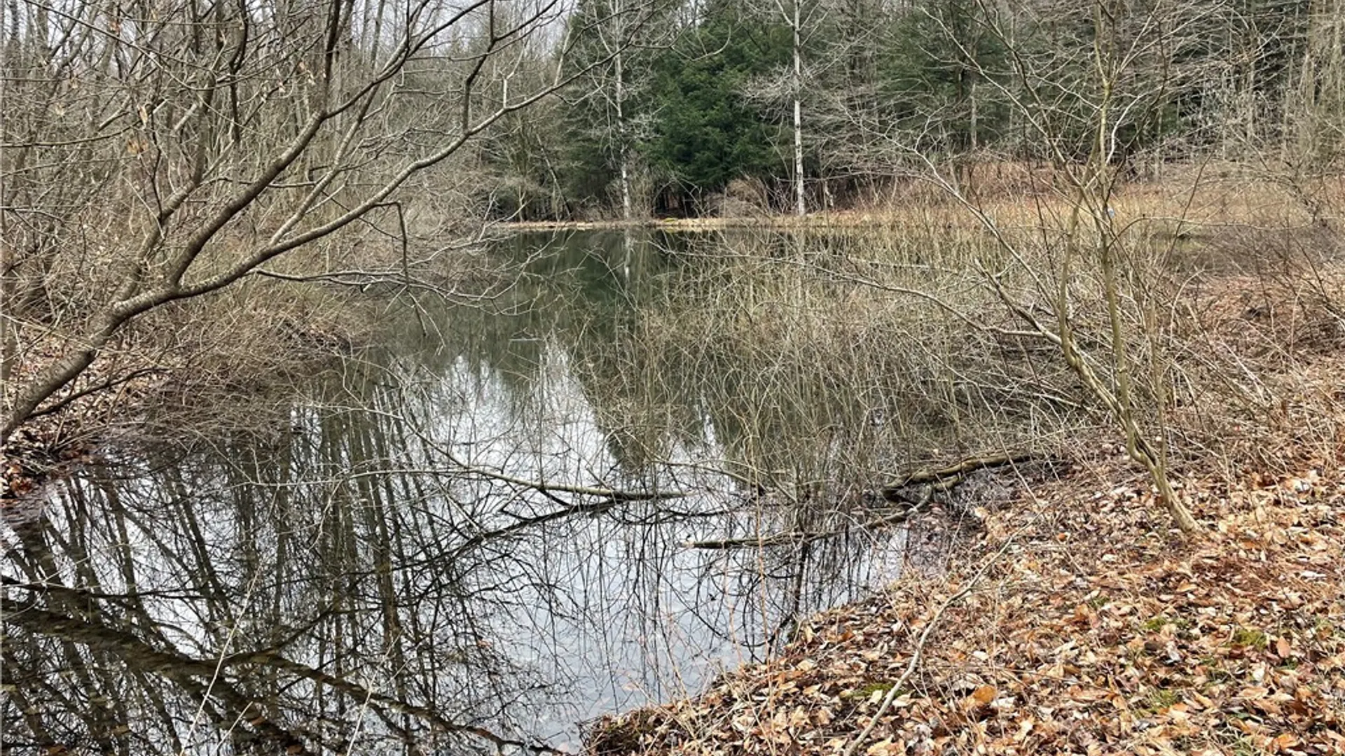 Property at 11335 Wyandale Road, Concord, NY 14141 20