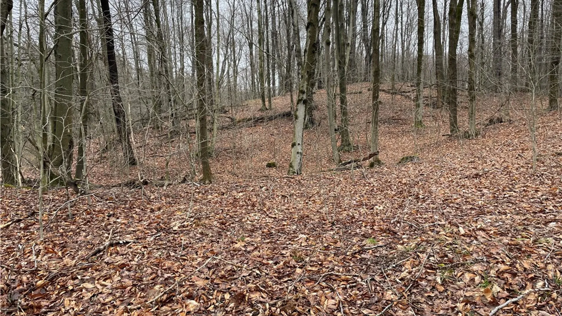 Property at 11335 Wyandale Road, Concord, NY 14141 24