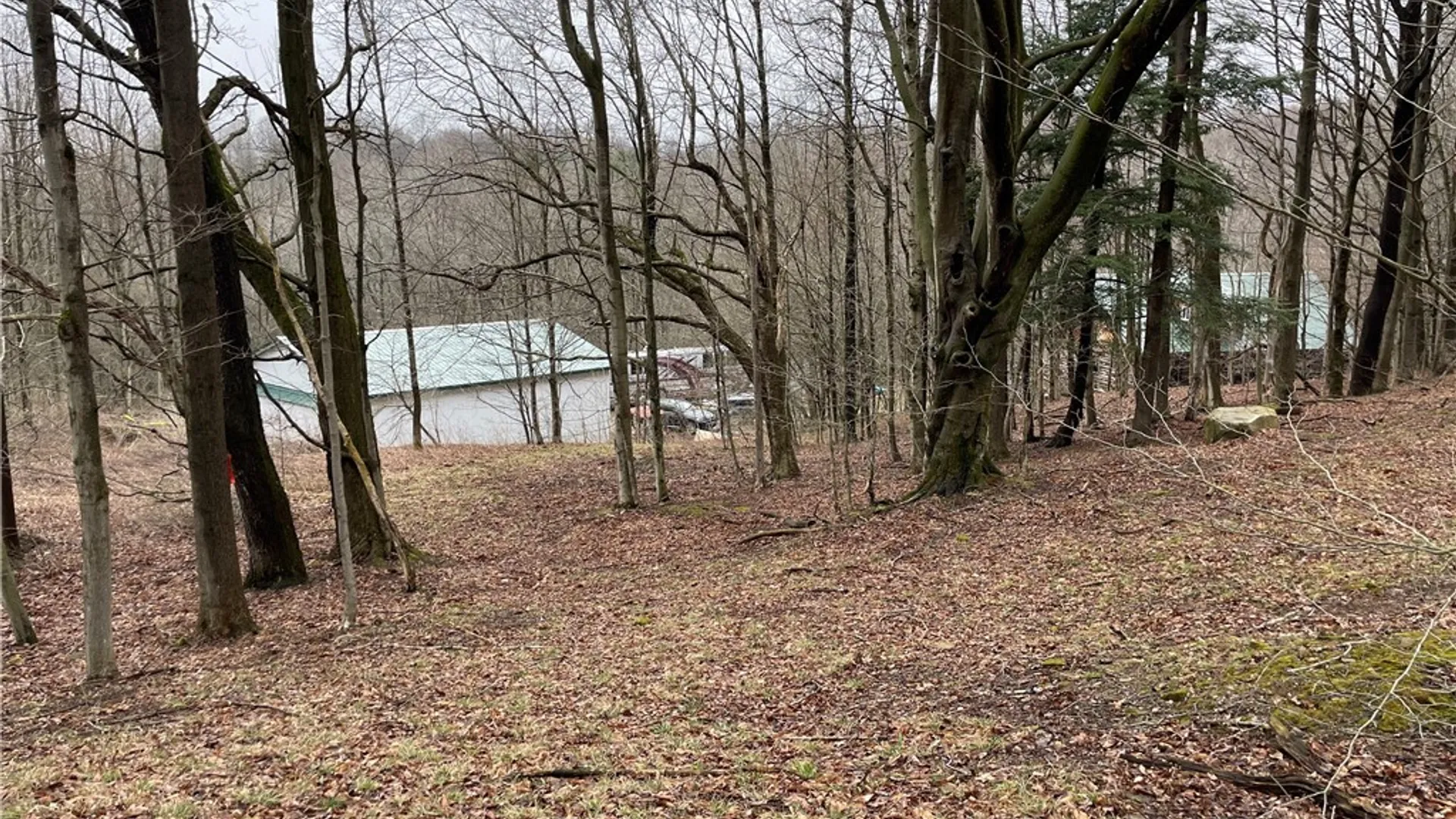 Property at 11335 Wyandale Road, Concord, NY 14141 25