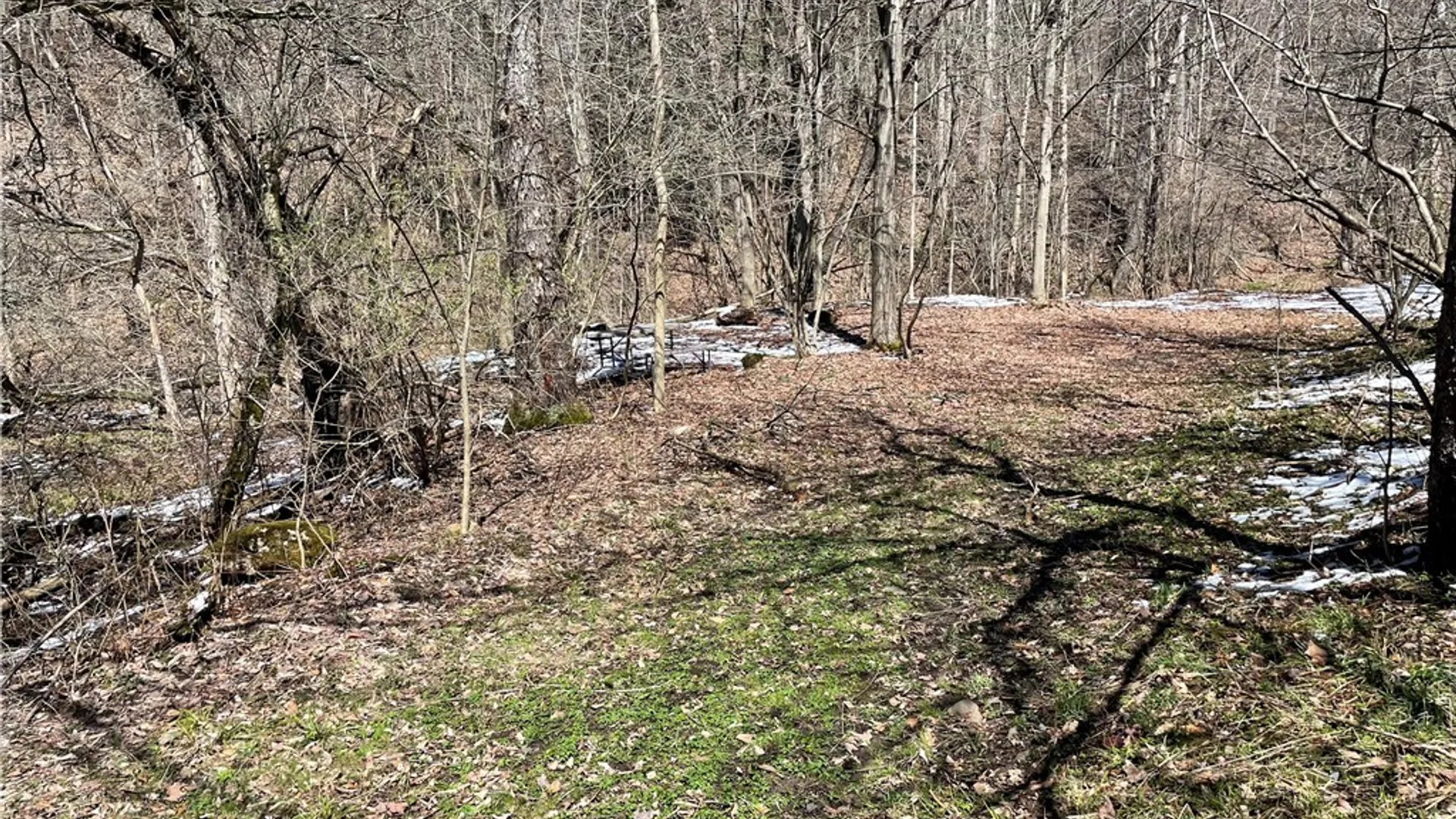 Property at 11335 Wyandale Road, Concord, NY 14141 28