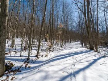 Property at Nys Route 414, Catlin, NY 14902