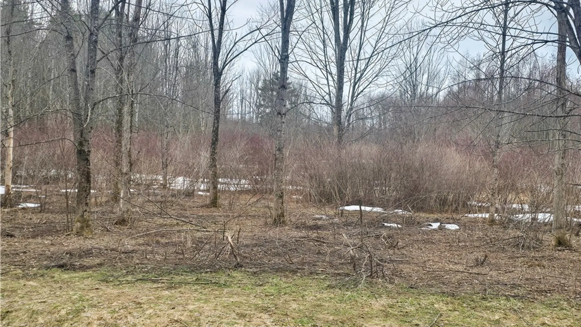 Property at 00 Depot Road, Vienna, NY 13042 4