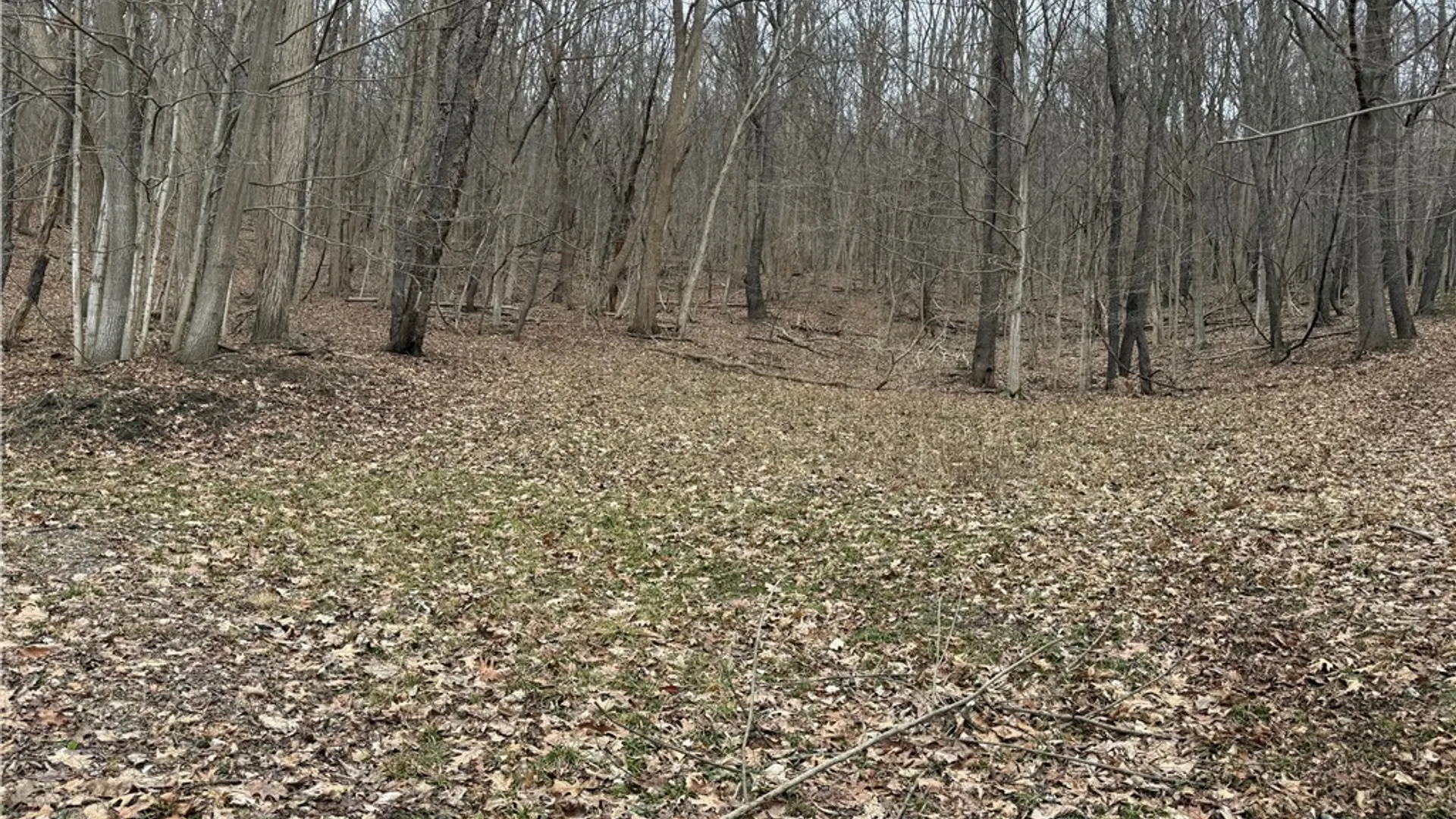 Property at 1592 Emerson Road, Potter, NY 14507 13