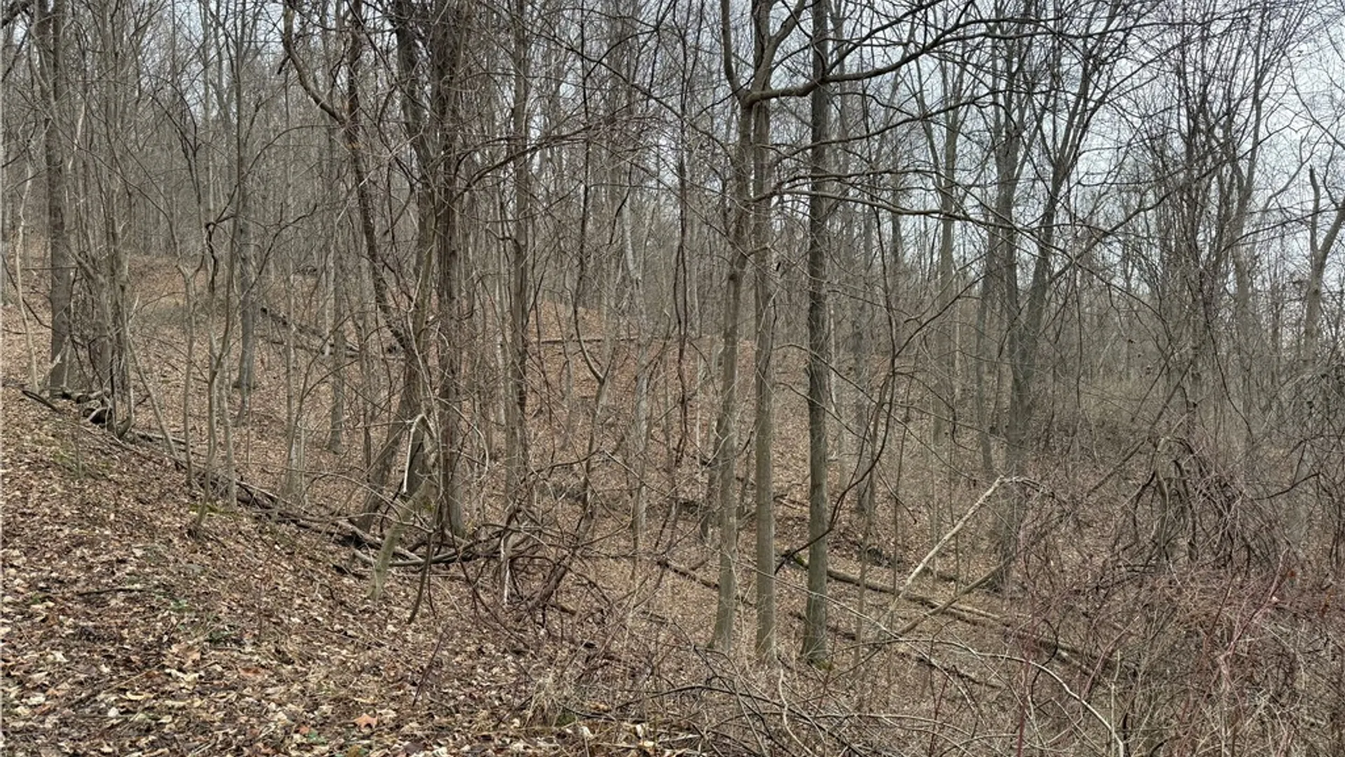 Property at 1592 Emerson Road, Potter, NY 14507 14