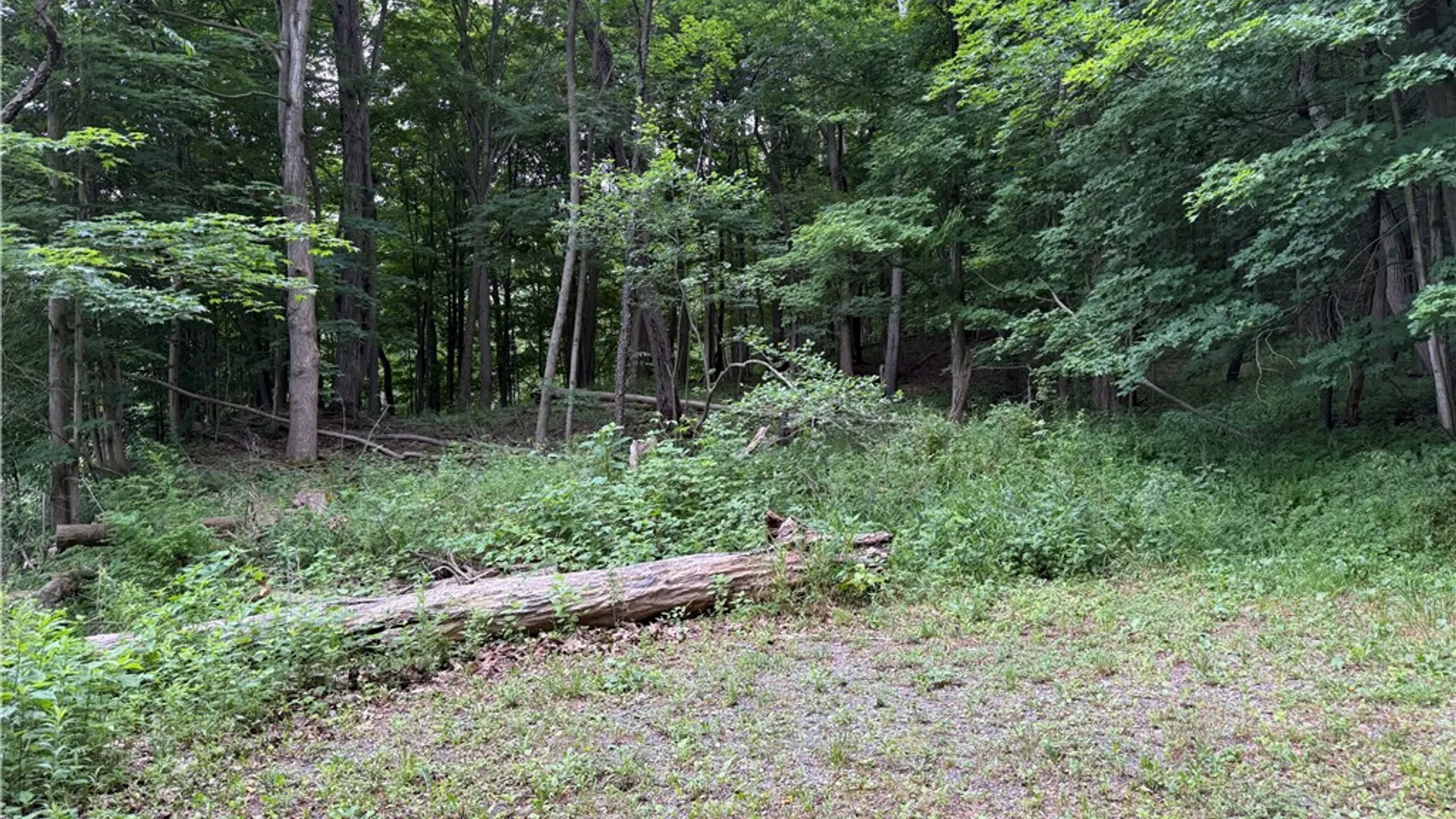 Property at 1592 Emerson Road, Potter, NY 14507 2
