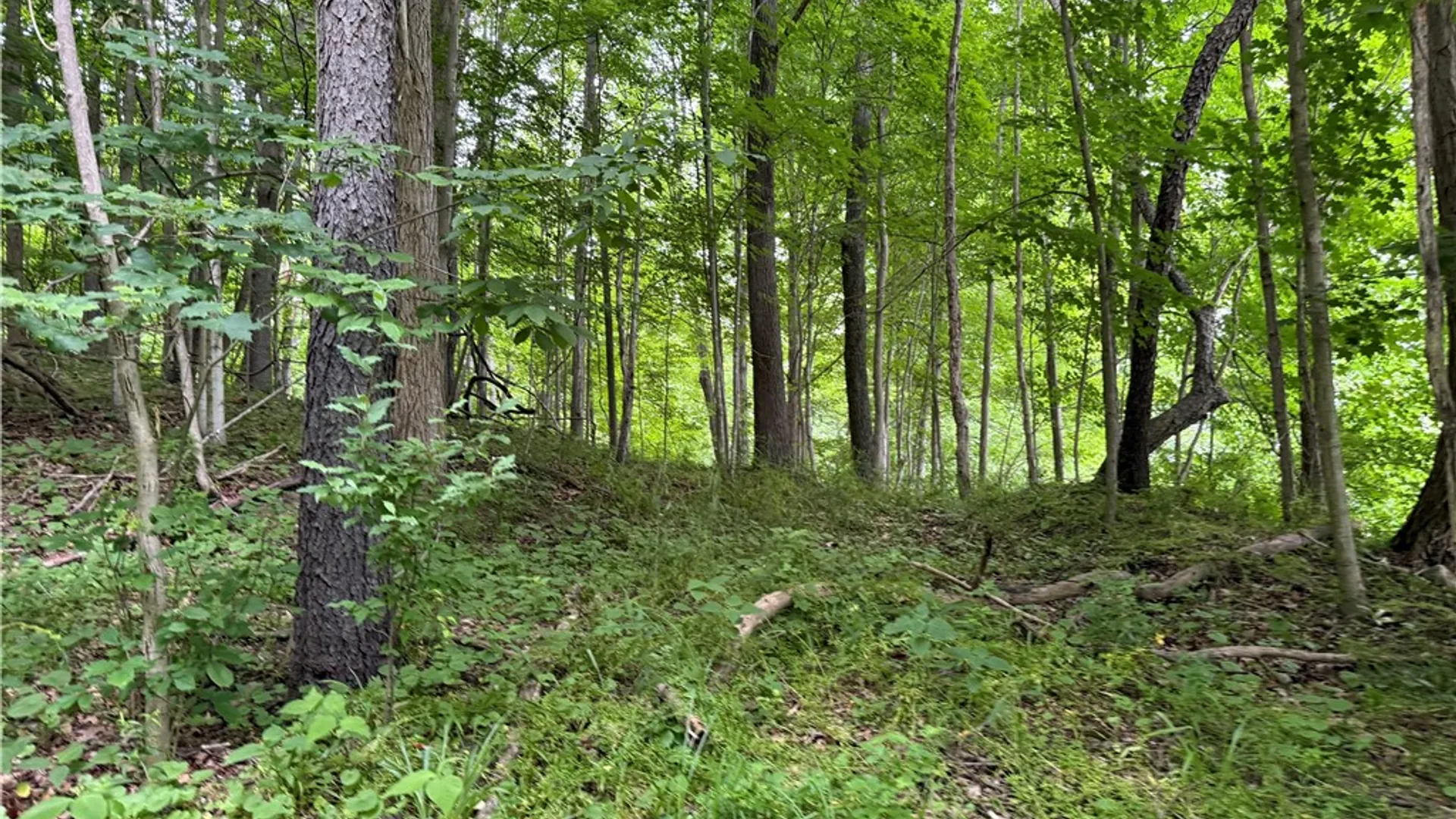 Property at 1592 Emerson Road, Potter, NY 14507 3