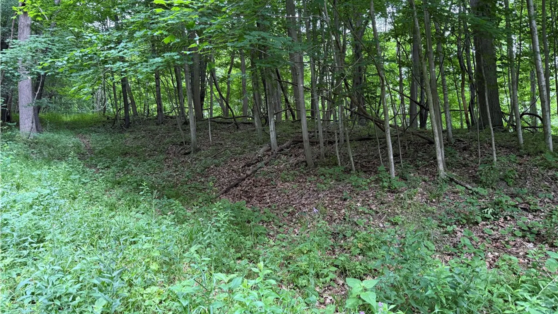 Property at 1592 Emerson Road, Potter, NY 14507 4