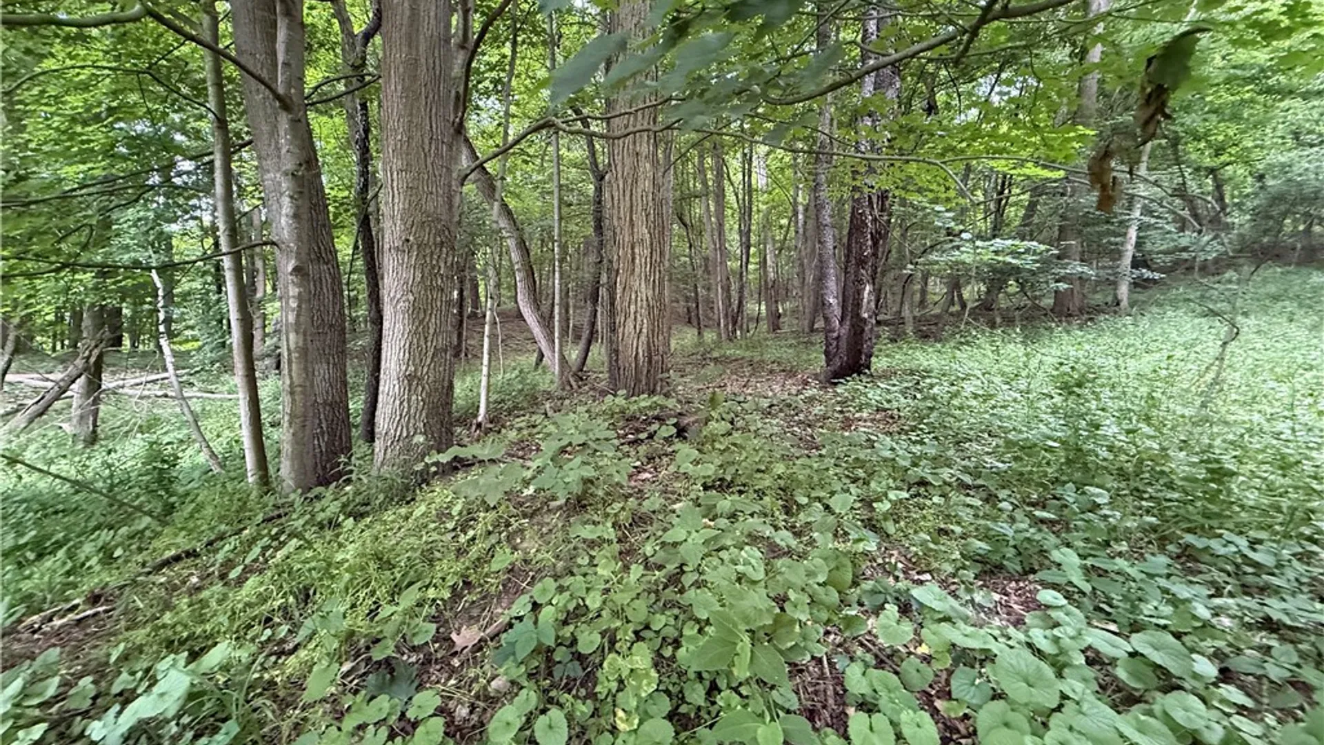 Property at 1592 Emerson Road, Potter, NY 14507 6