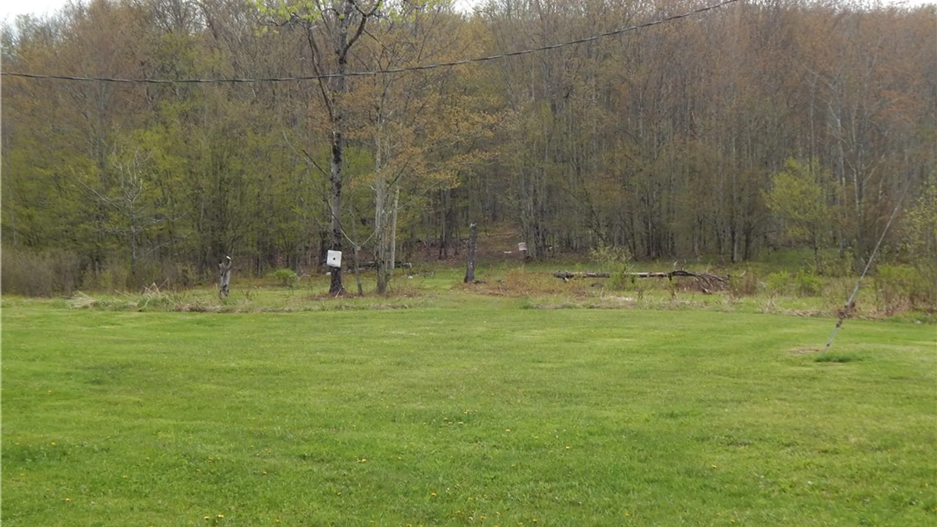 Property at 5684 Houck Moutain Road, Walton, NY 13756 8