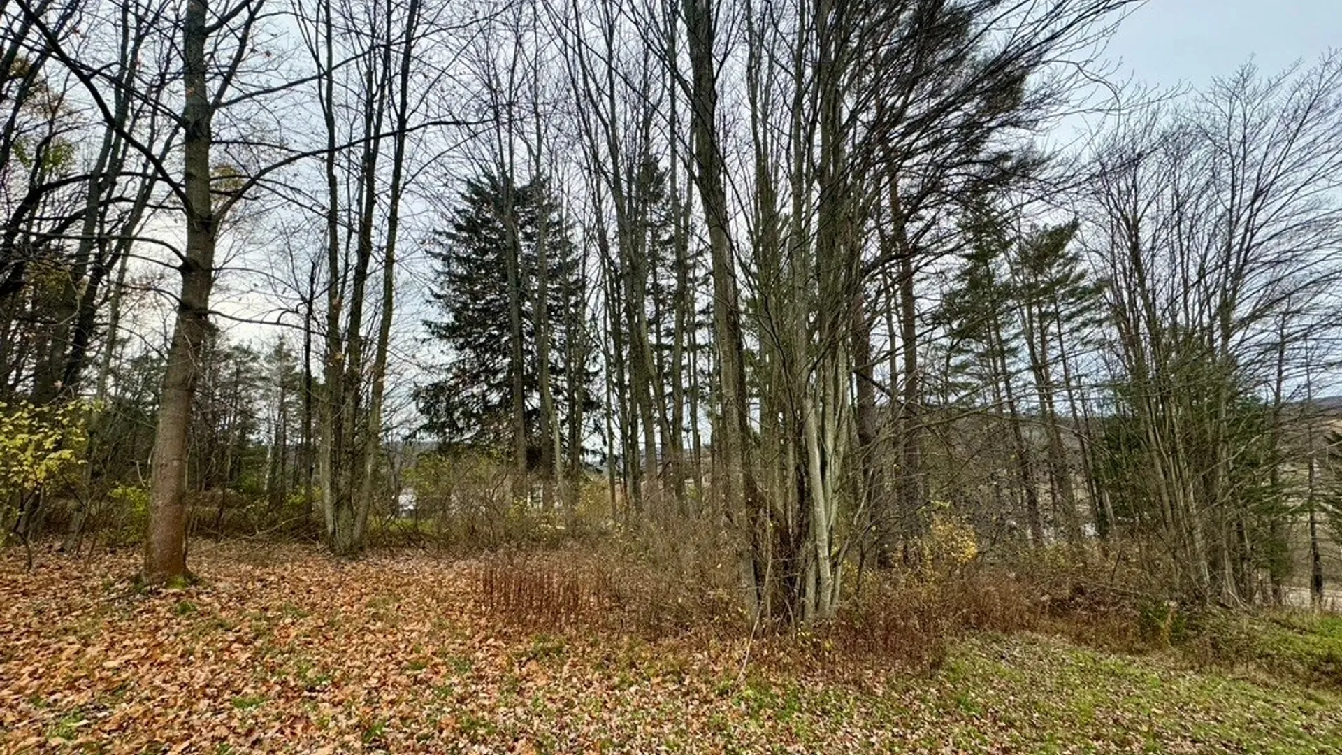 Property at 373B N Shore Road, Cuba, NY 14727 35