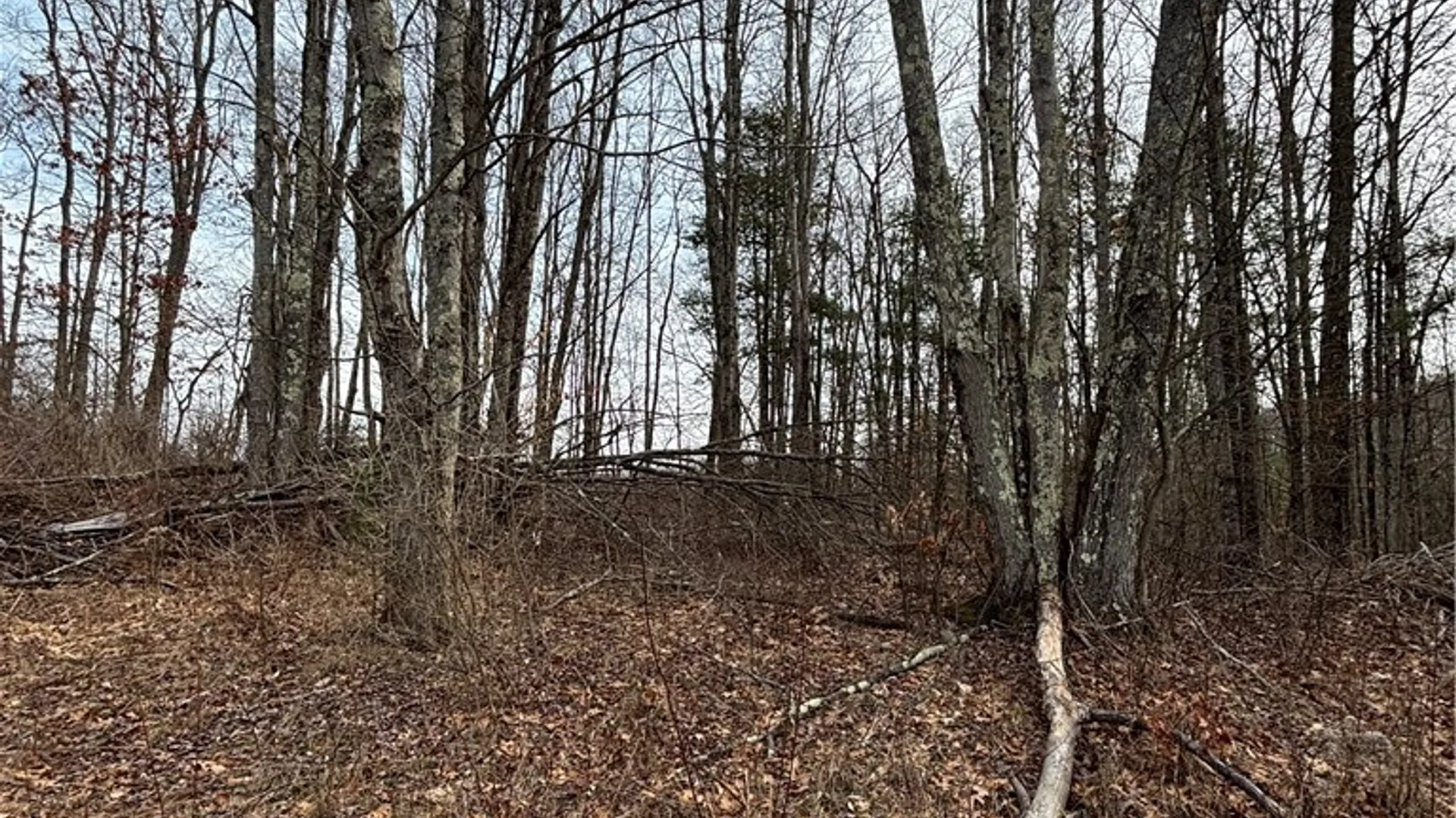 Property at 370 Ellis Creek Rd, Barton, NY 14892 10