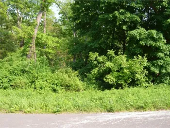 Property at River Road, Bethlehem, NY 12158