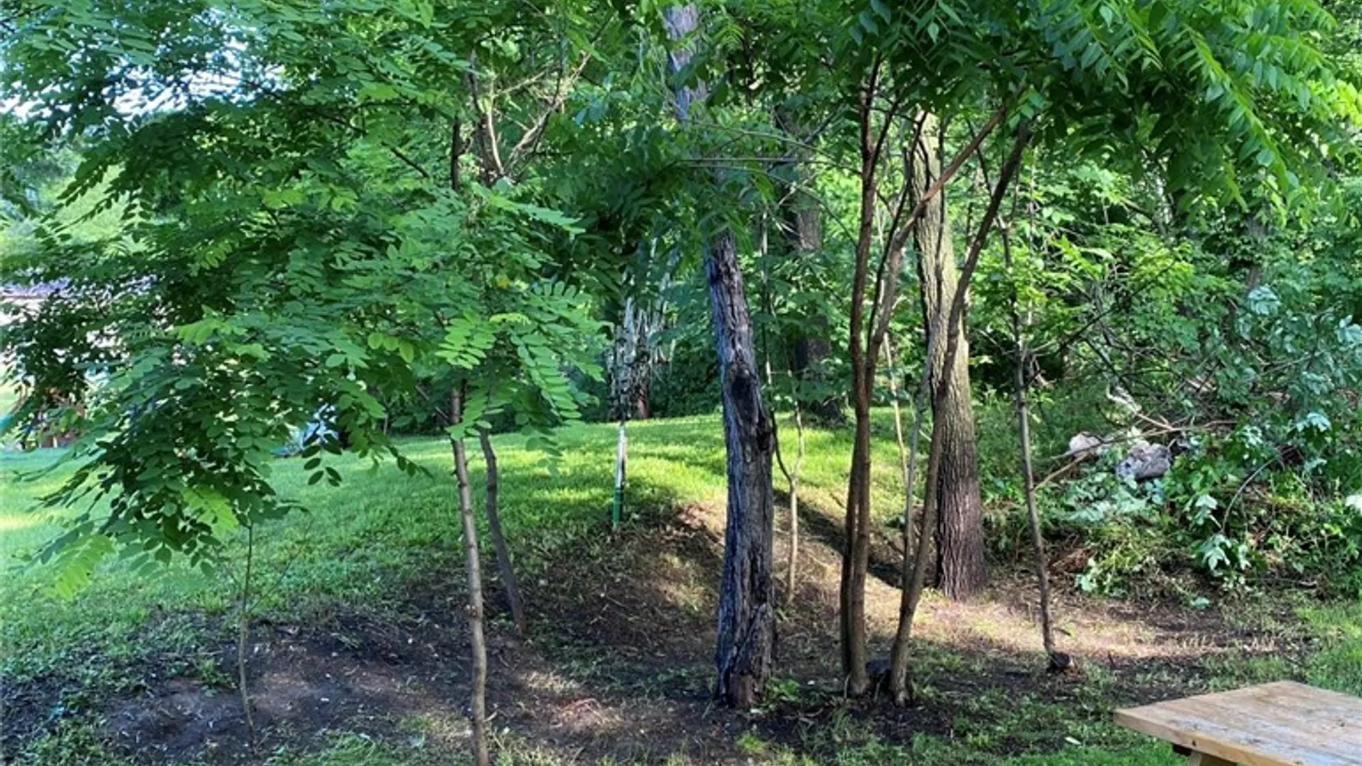 Property at 3764 Italy Hill Road, Jerusalem, NY 14418 3