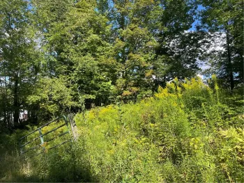 Property at 19.221 Turnpike Road, Meredith, NY 13757