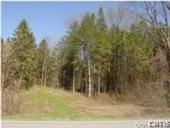 Property at 0 Nelson Road, Lenox, NY 13032