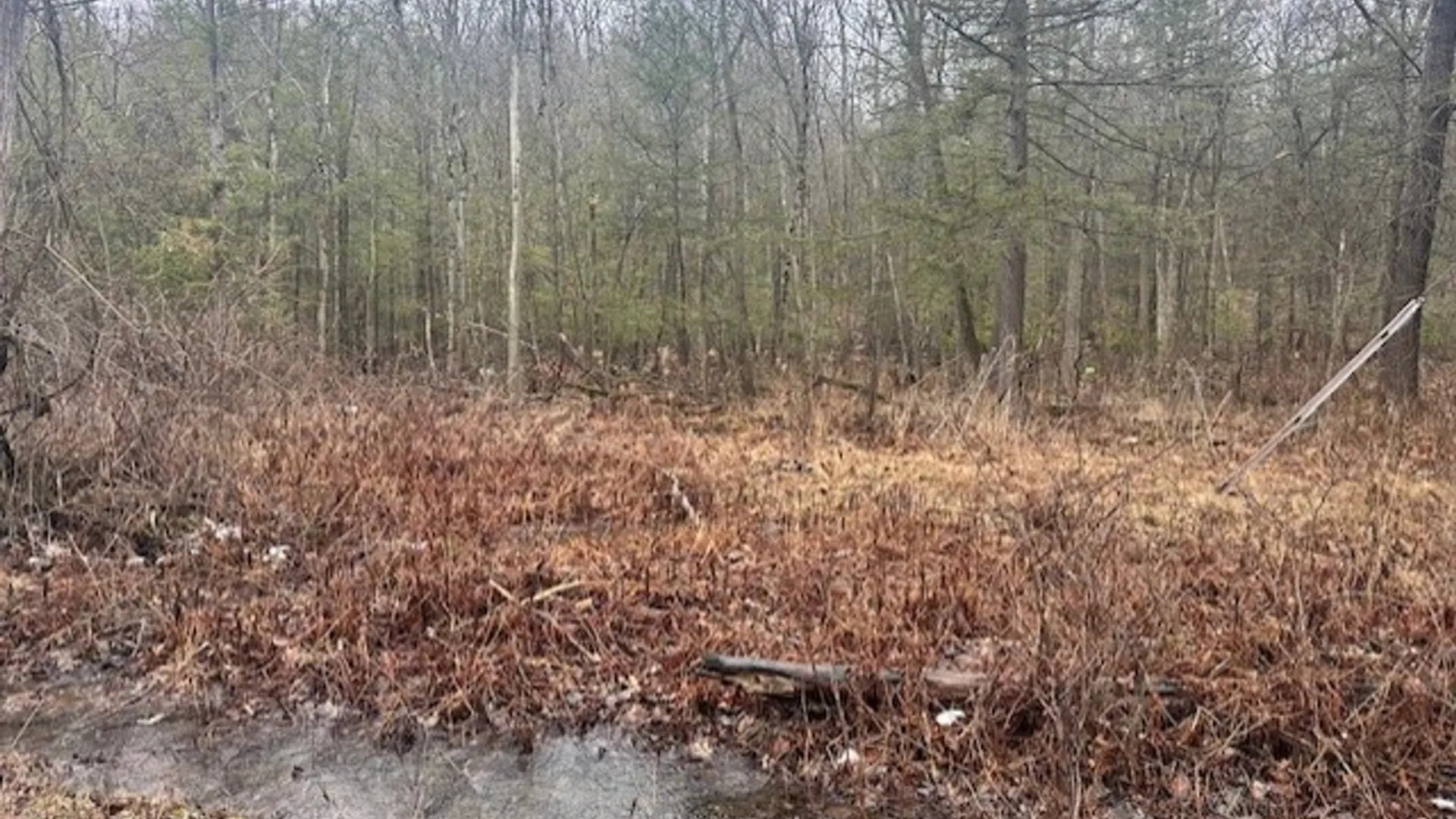 Property at 0 Spring Road, West Sparta, NY 14437 2