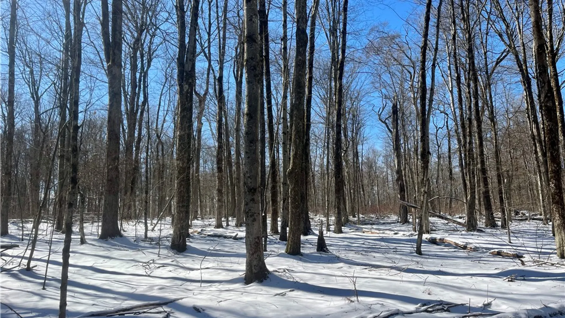 Property at 231 Ives Settlement Road, Guilford, NY 13780 17