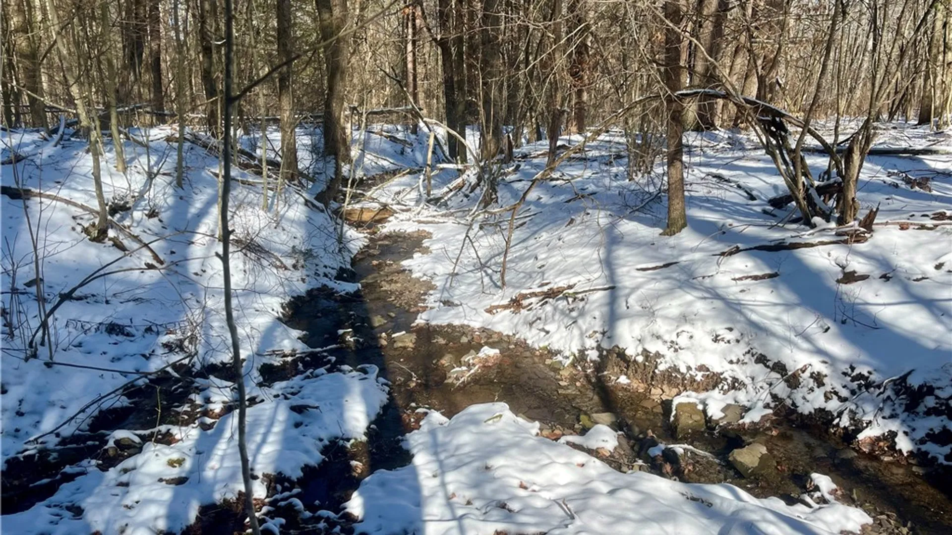 Property at 231 Ives Settlement Road, Guilford, NY 13780 24