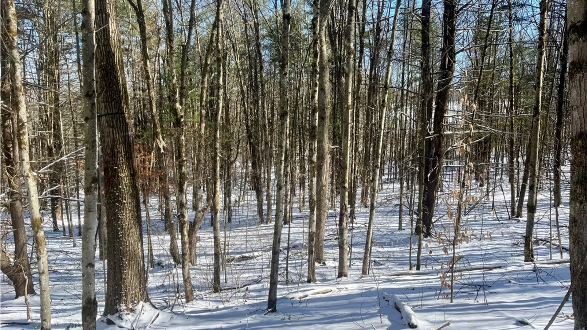 Property at 231 Ives Settlement Road, Guilford, NY 13780 23