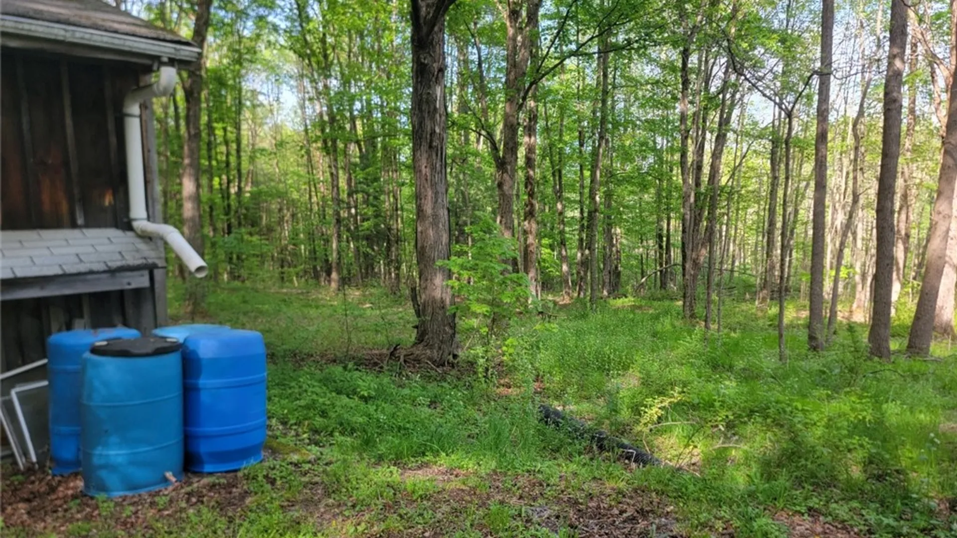 Property at 231 Ives Settlement Road, Guilford, NY 13780 4
