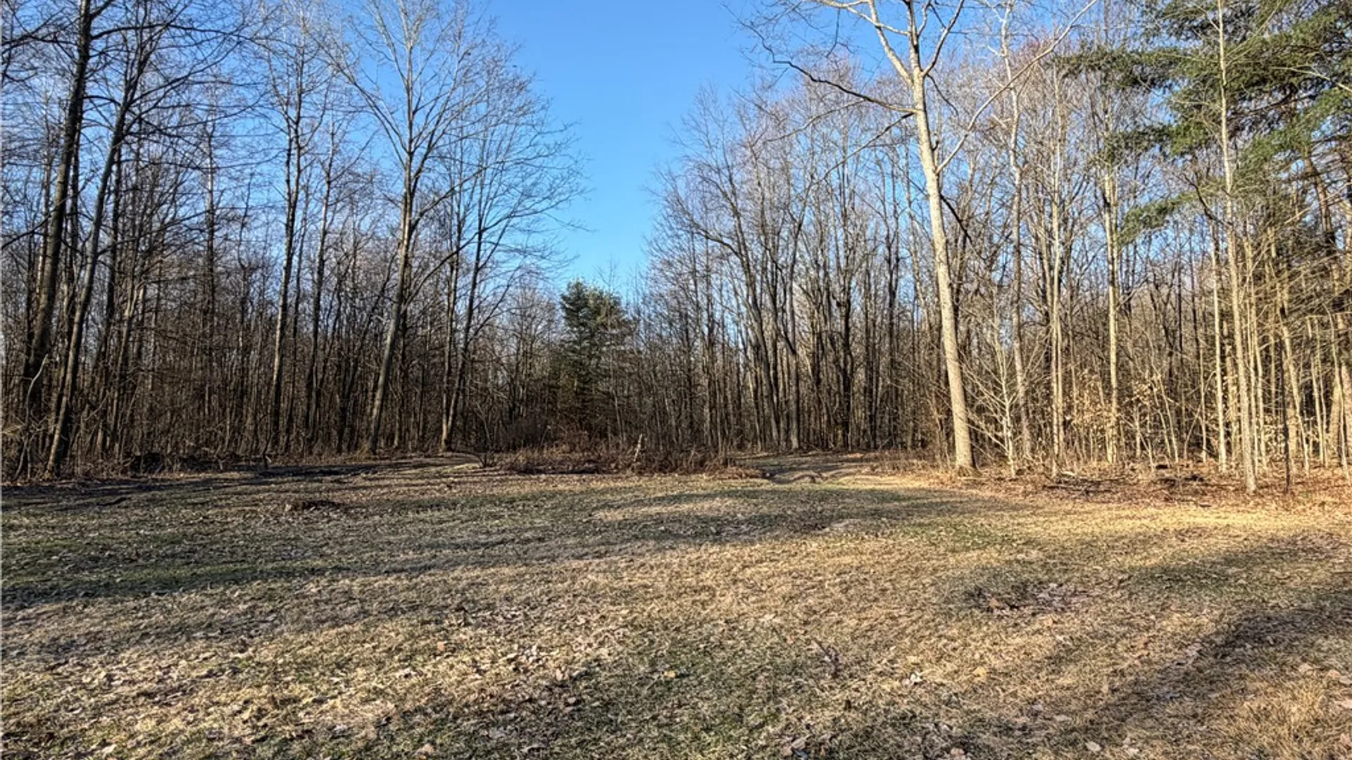 Property at 2680 Apple Tree Road, Clarksville, NY 14715 5