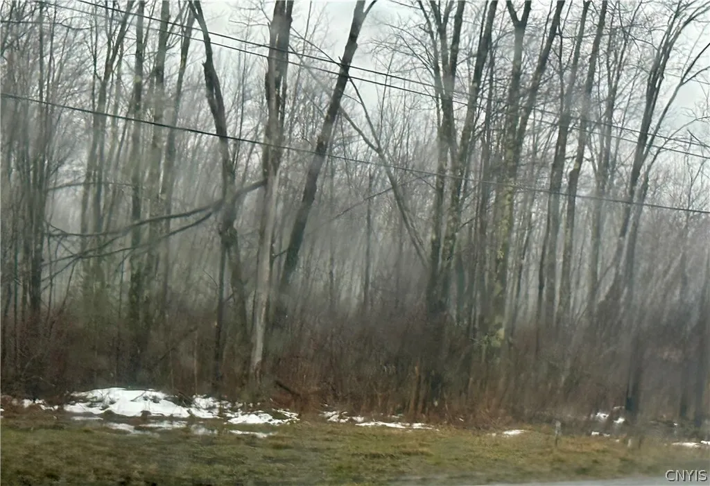 Property at Route 13 N, Vienna, NY 13308