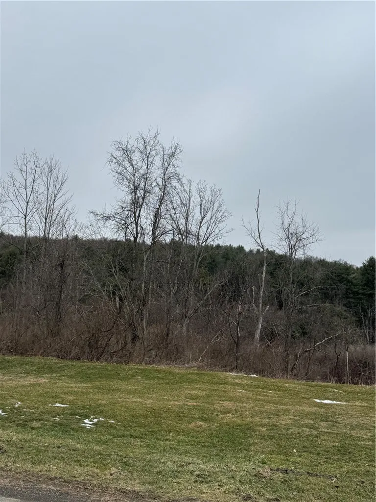 Property at 186 Diamond Valley Road, Tioga, NY 13734