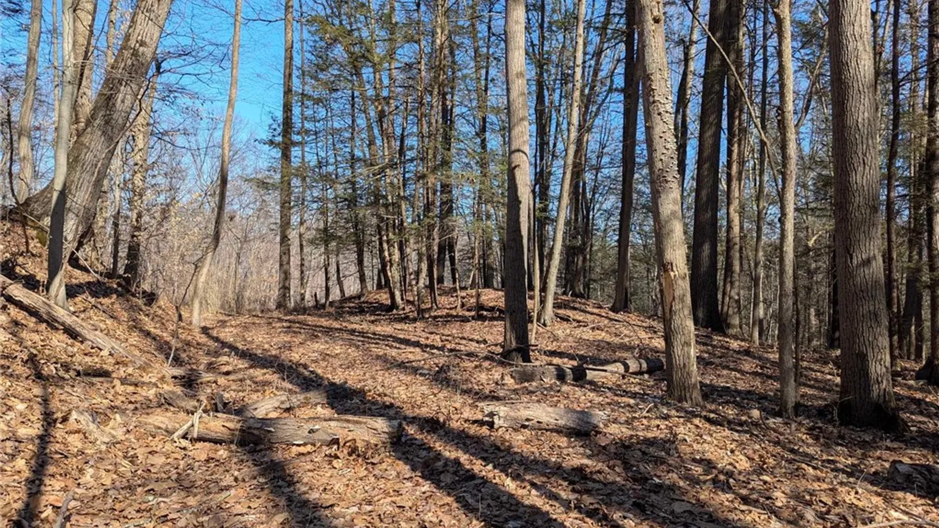 Property at Elmira Road, Newfield, NY 14867 4