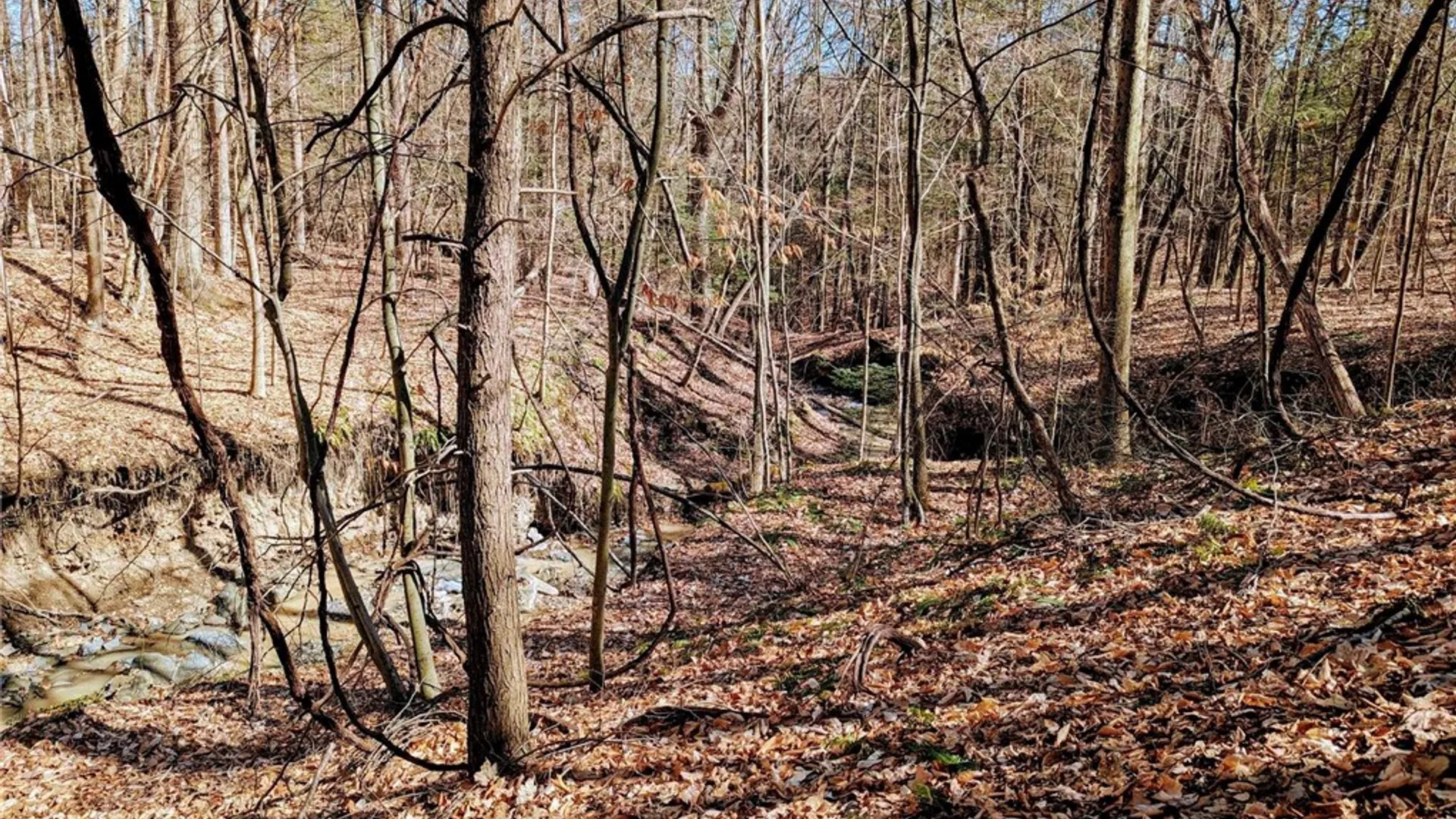 Property at Elmira Road, Newfield, NY 14867 5
