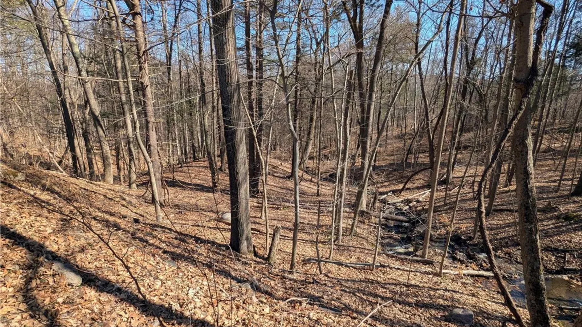 Property at Elmira Road, Newfield, NY 14867 8