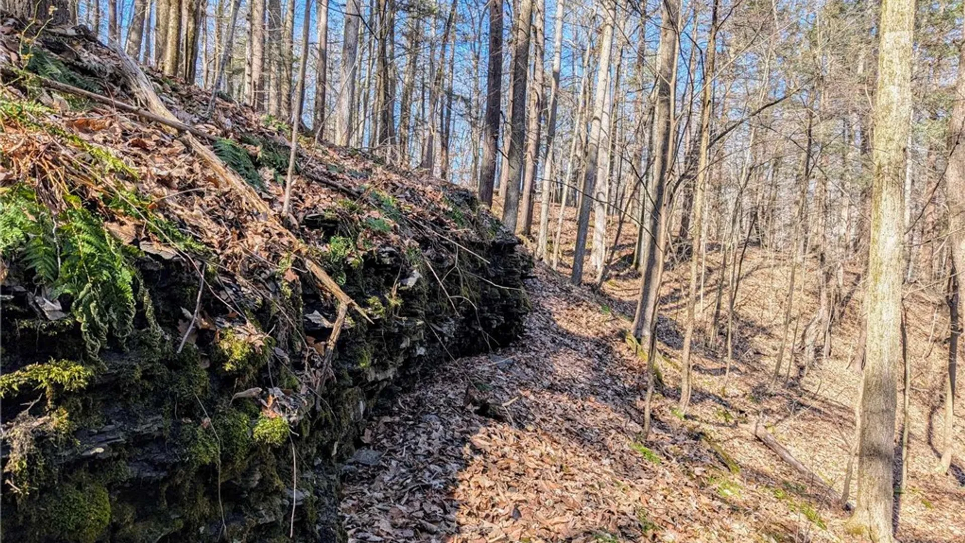 Property at Elmira Road, Newfield, NY 14867 9