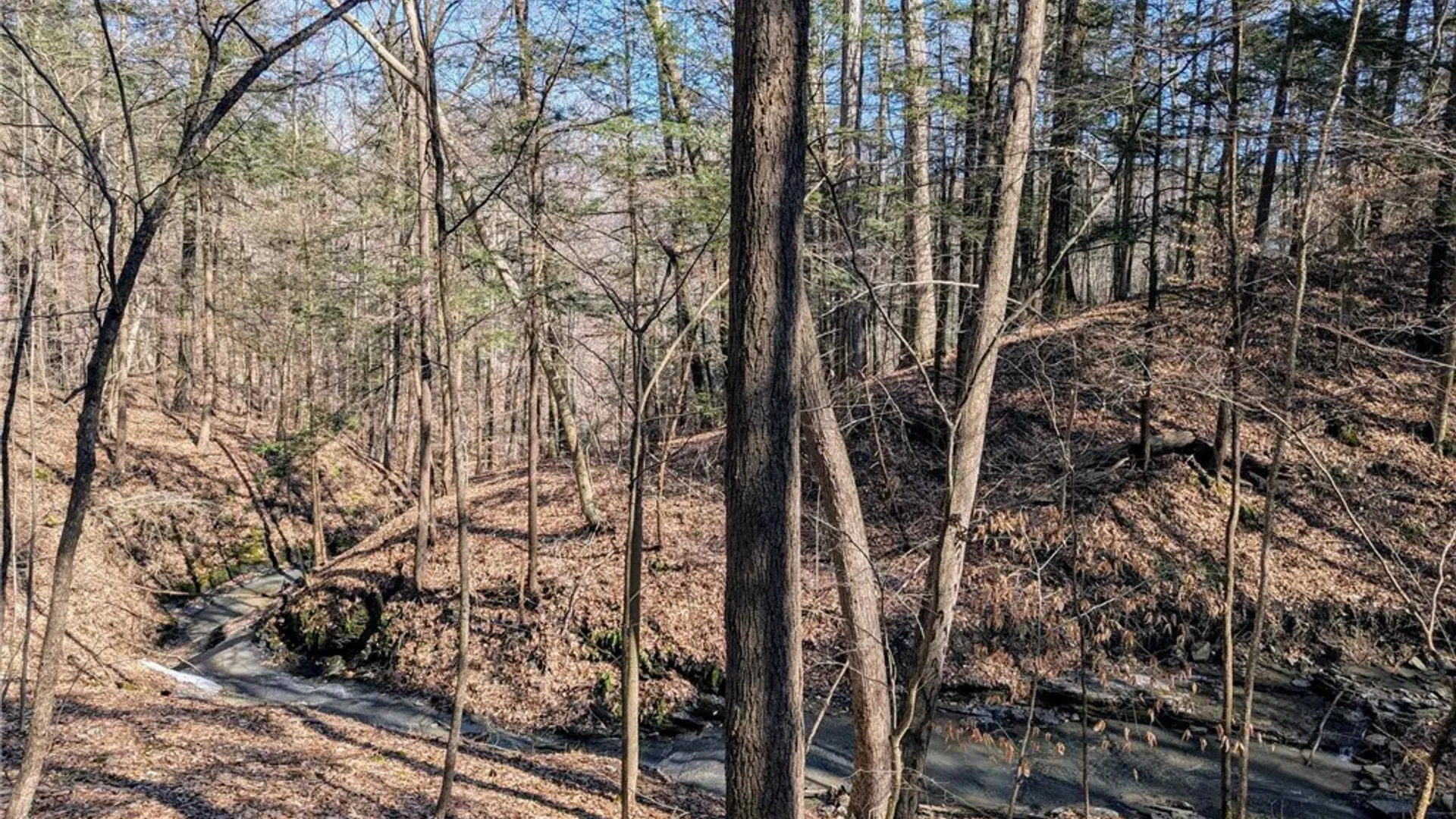 Property at Elmira Road, Newfield, NY 14867 10